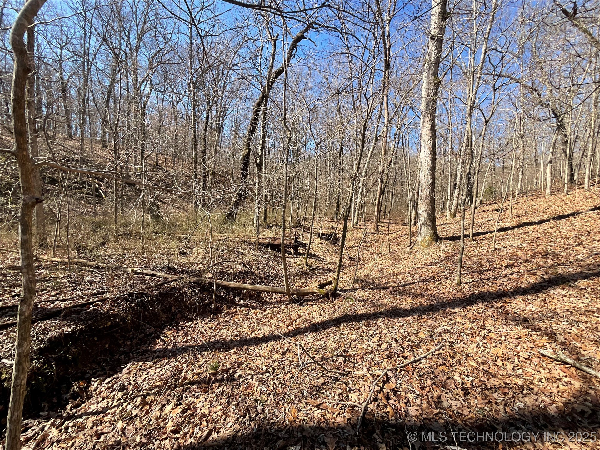 4595 Road Property Photo 18