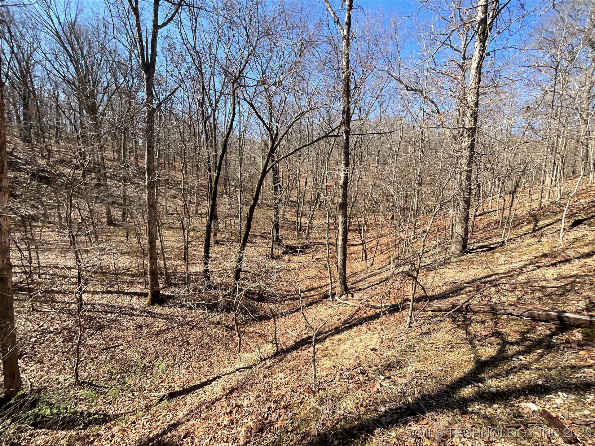 4595 Road Property Photo 19