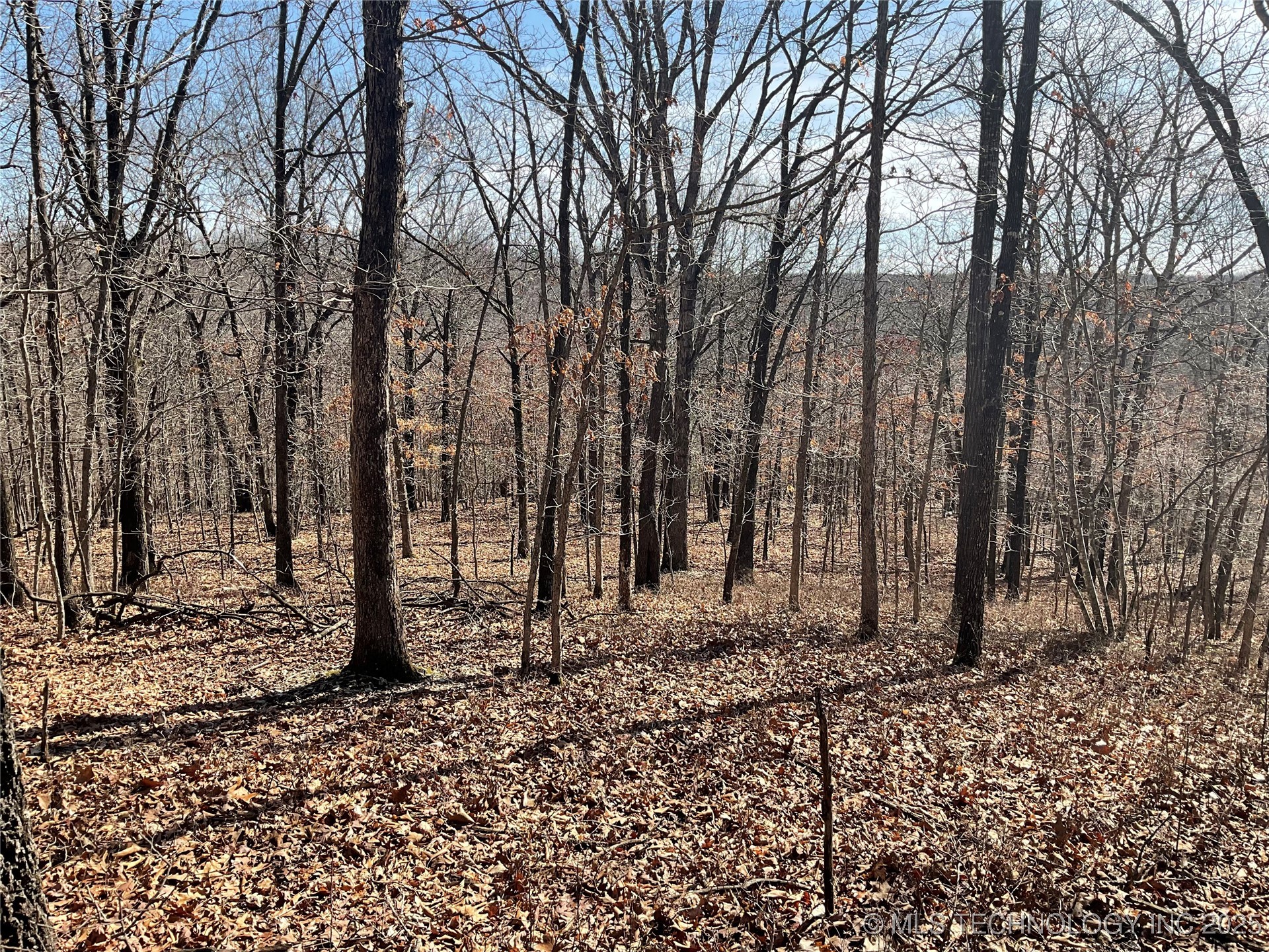 4595 Road Property Photo 20