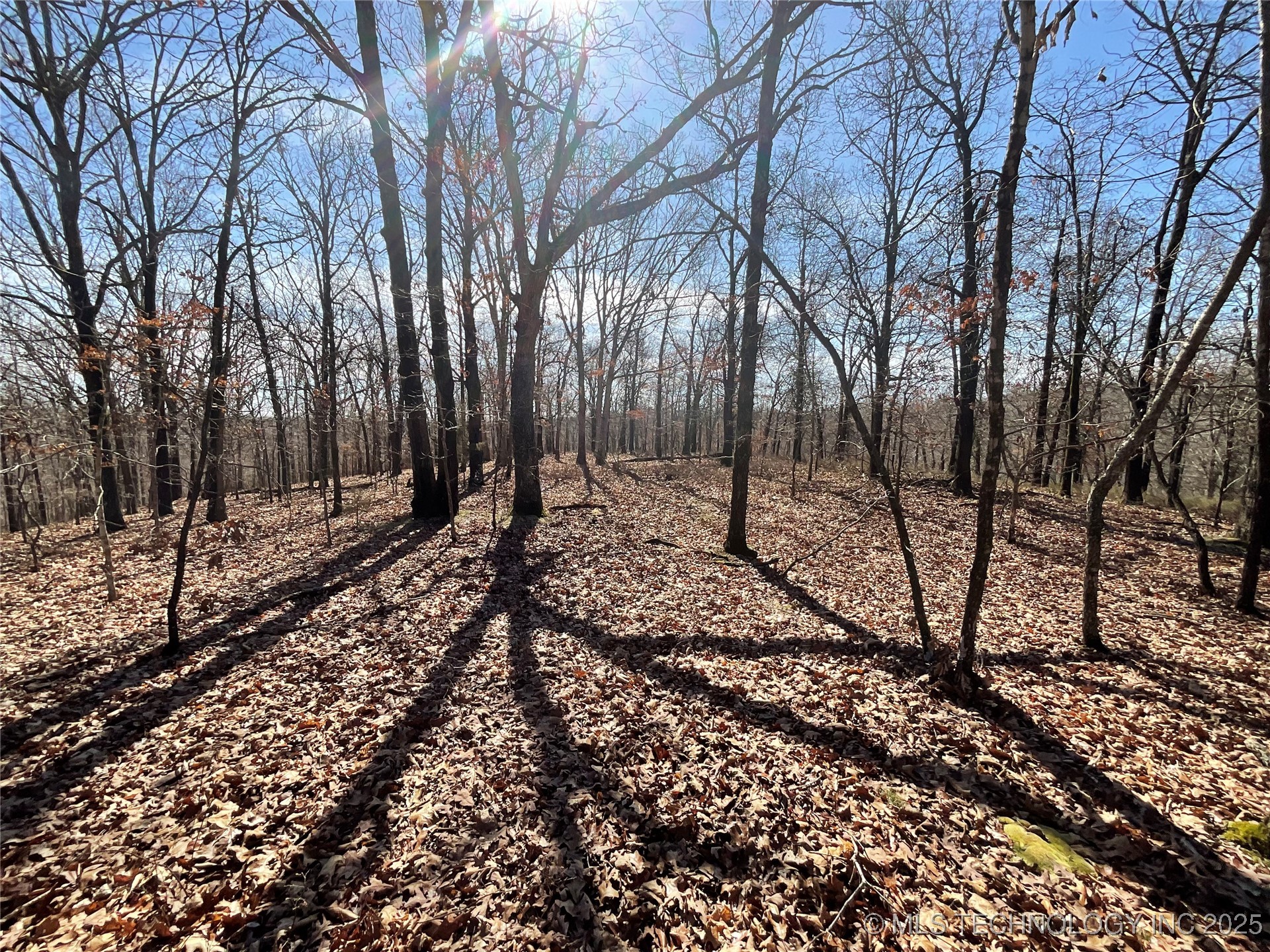 4595 Road Property Photo 21