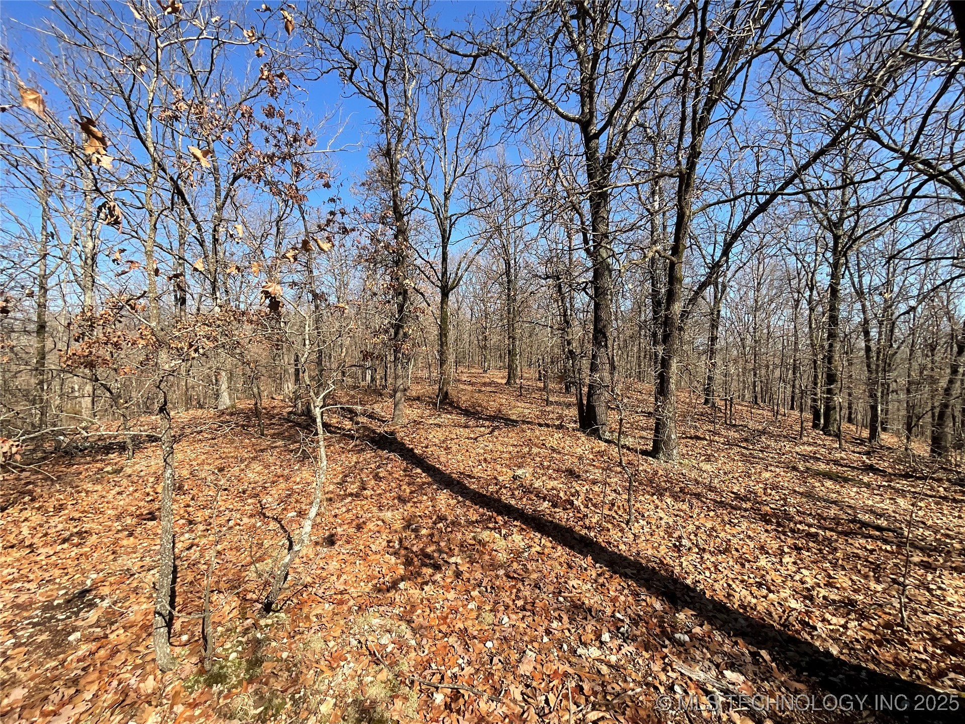 4595 Road Property Photo 22