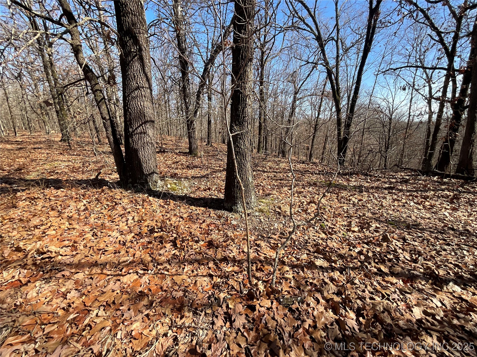 4595 Road Property Photo 23