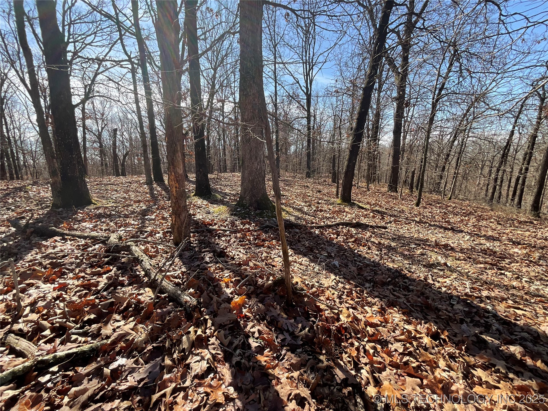 4595 Road Property Photo 24