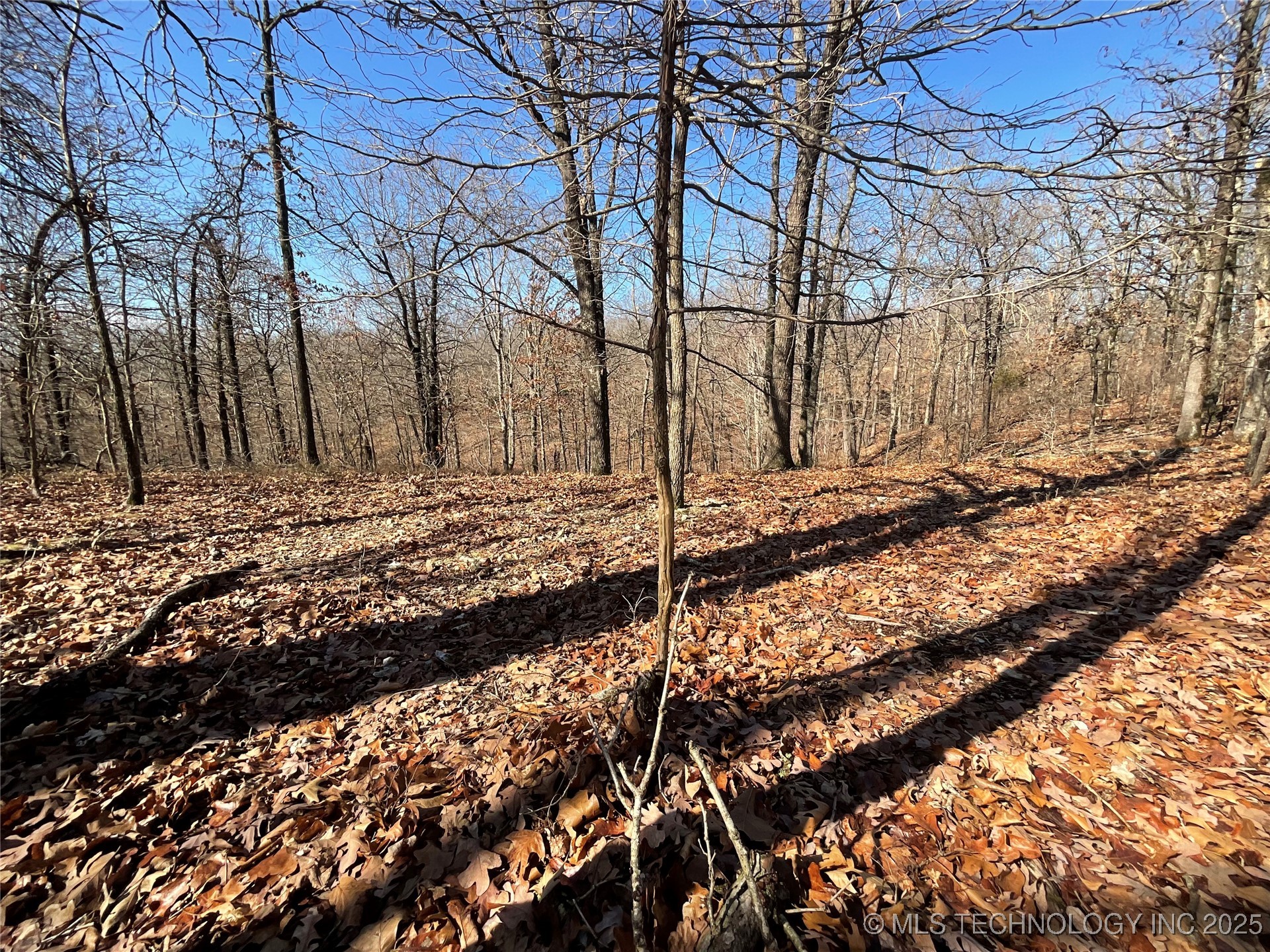 4595 Road Property Photo 25