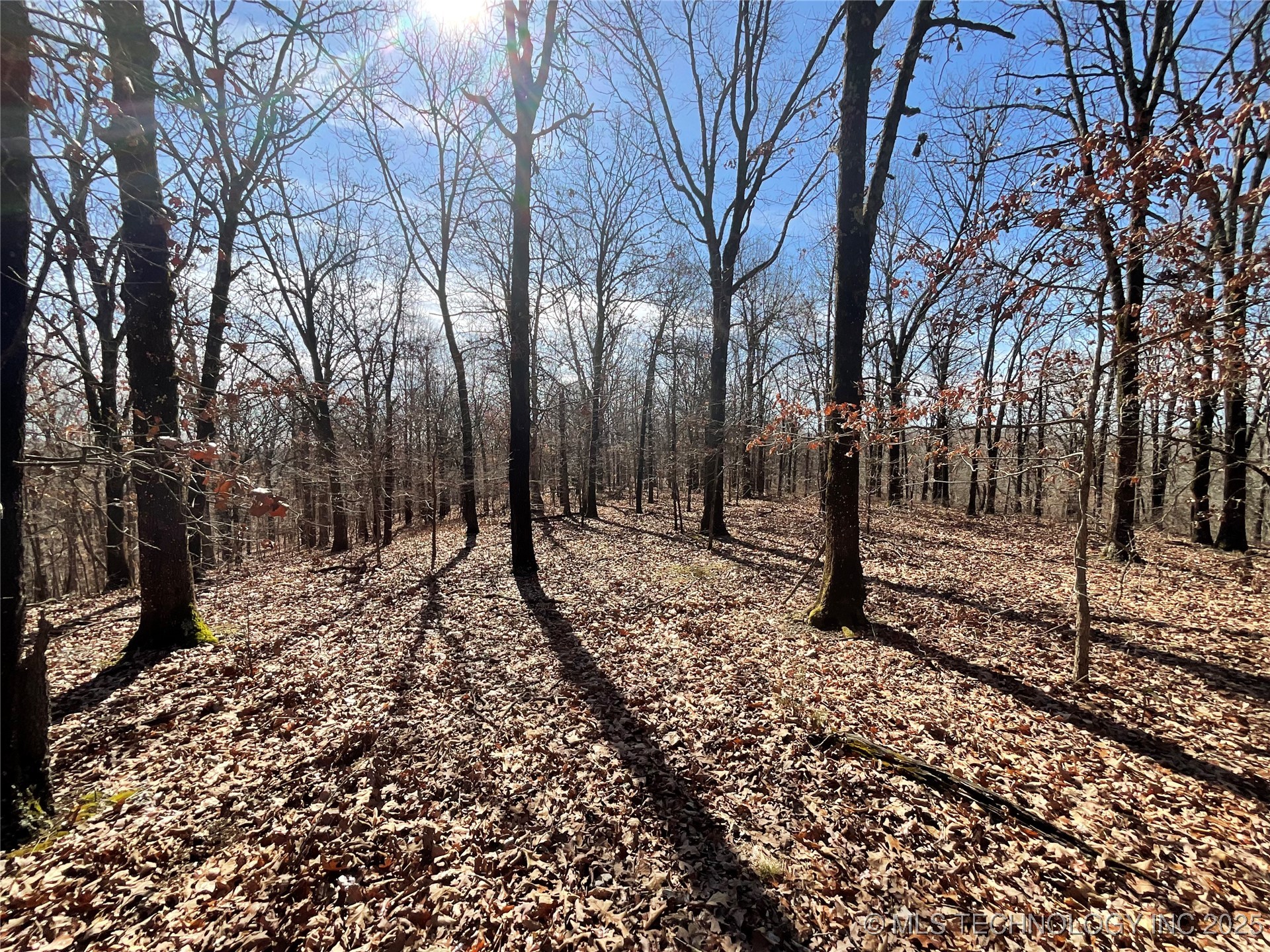 4595 Road Property Photo 26