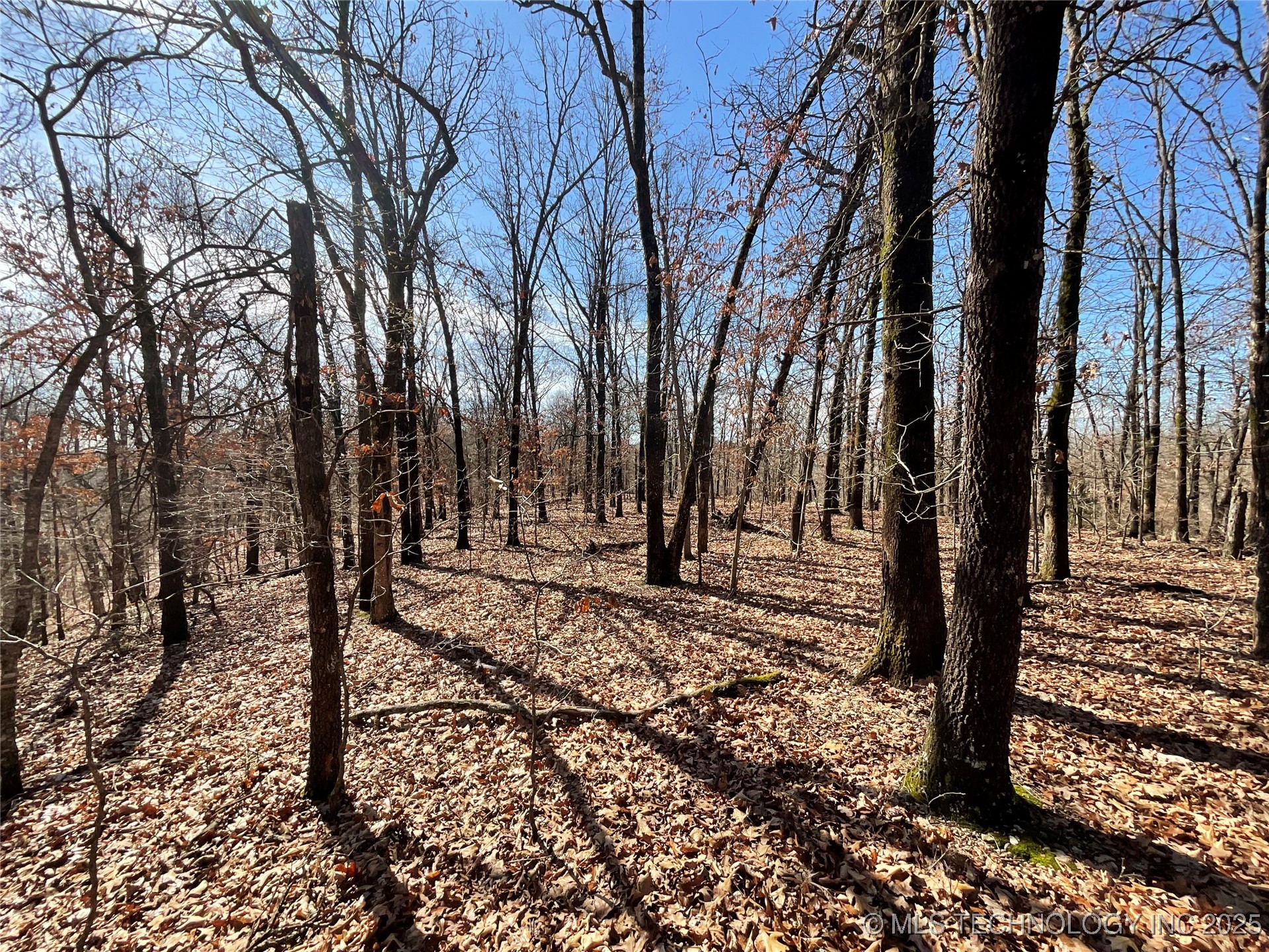 4595 Road Property Photo 28