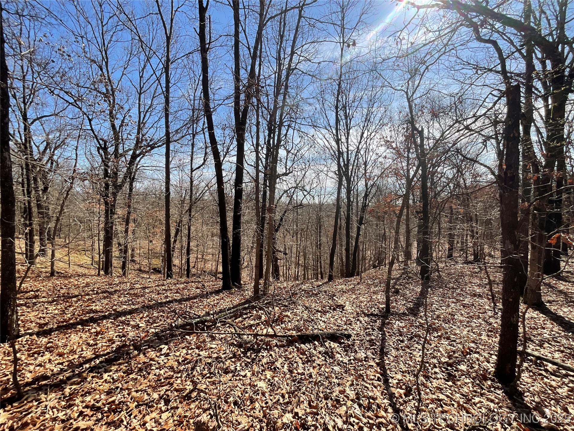 4595 Road Property Photo 29