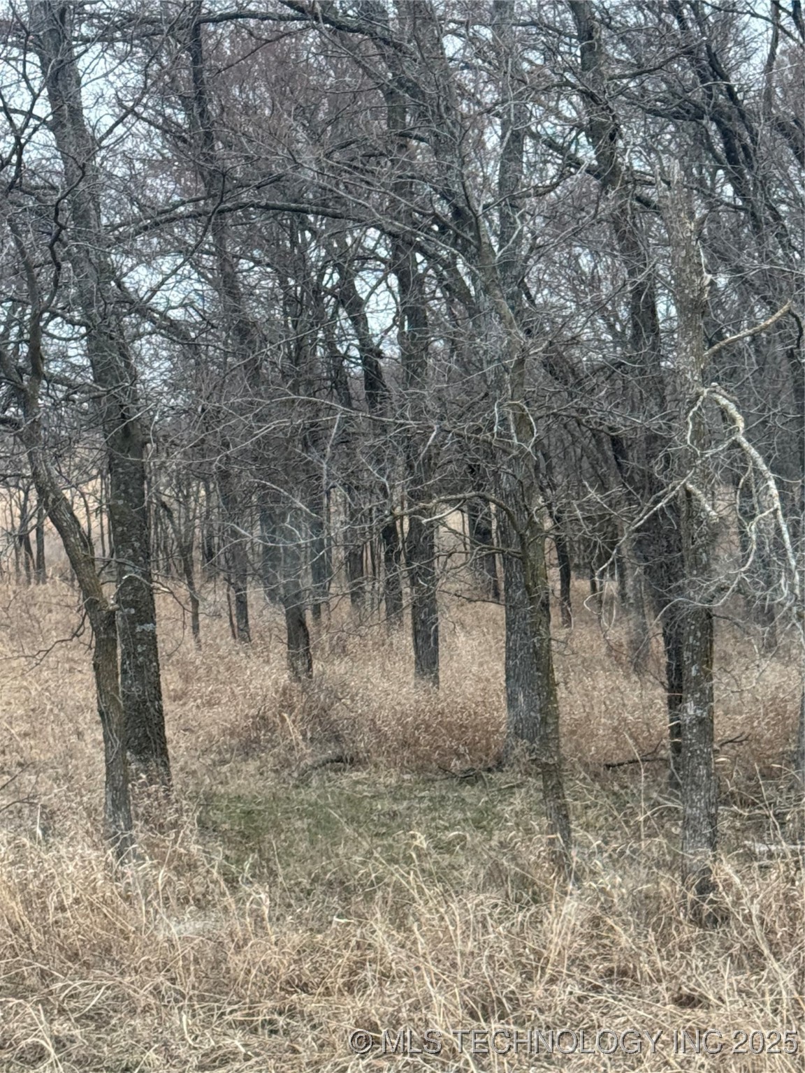 5300 Us Hwy 75 Property Photo 10