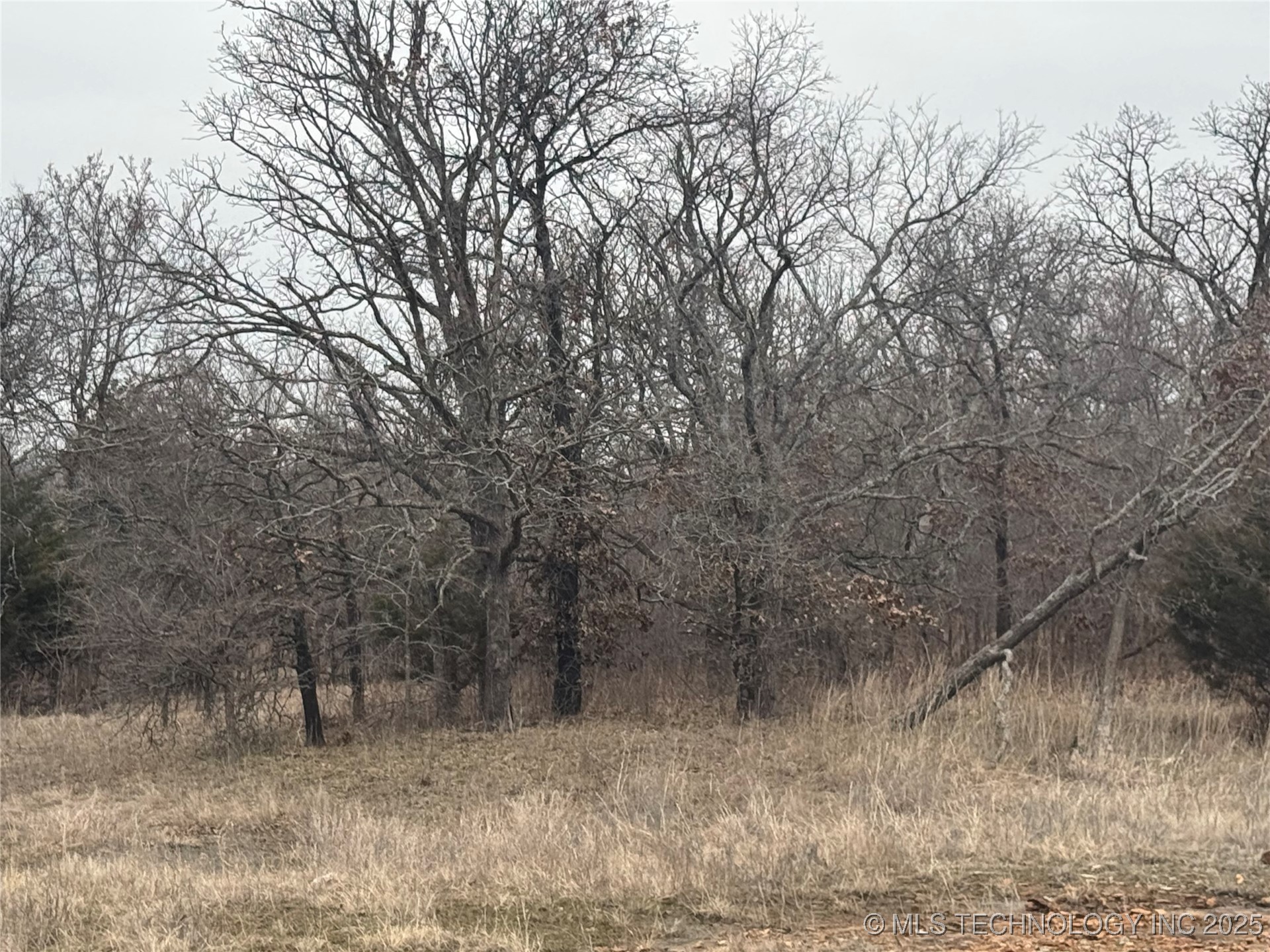 5300 Us Hwy 75 Property Photo 11
