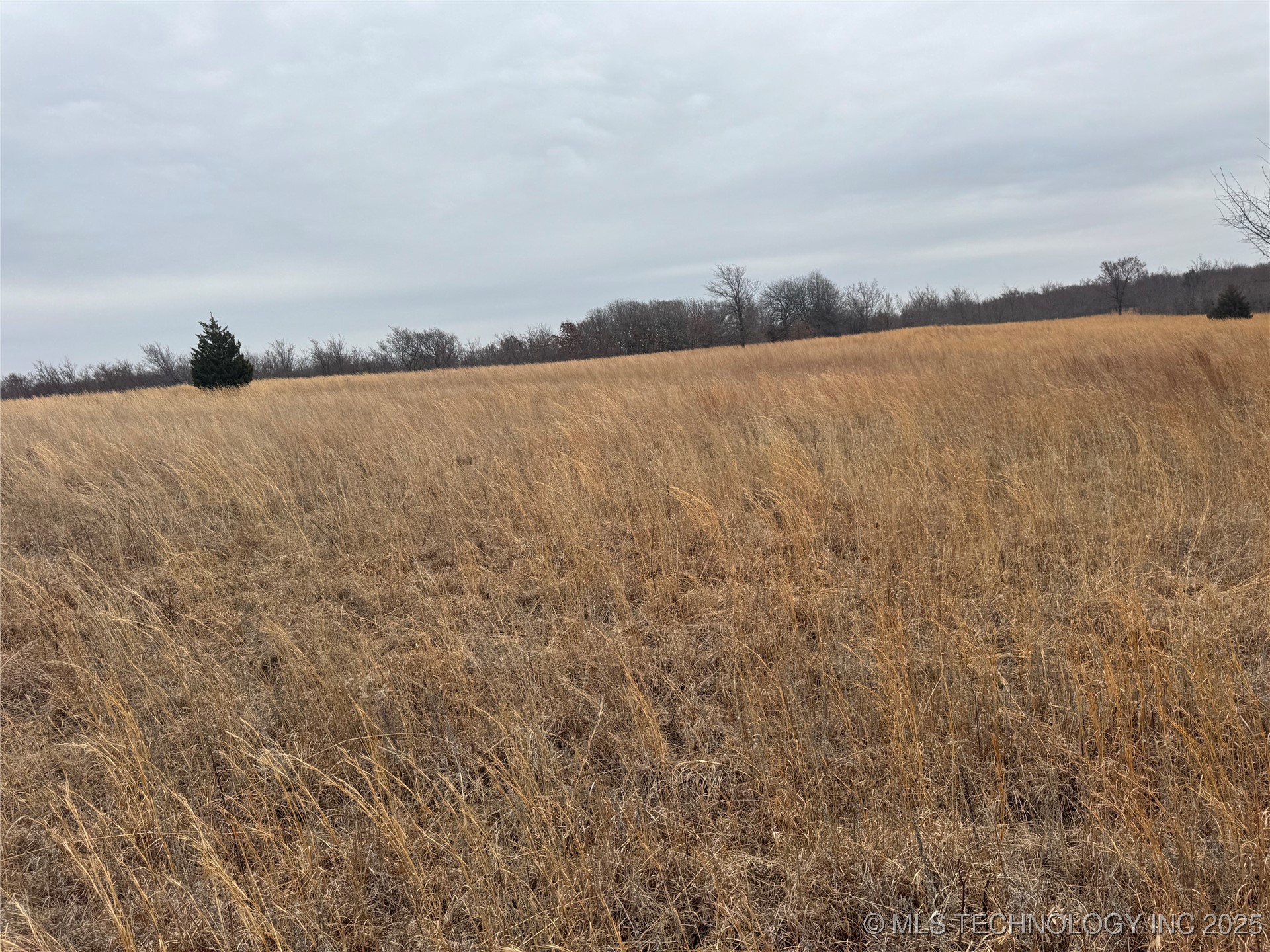 5300 Us Hwy 75 Property Photo 21