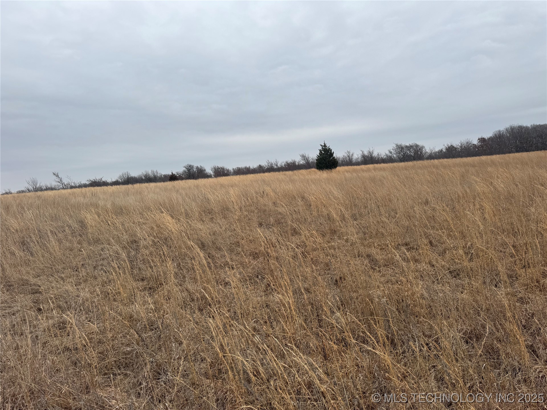 5300 Us Hwy 75 Property Photo 22