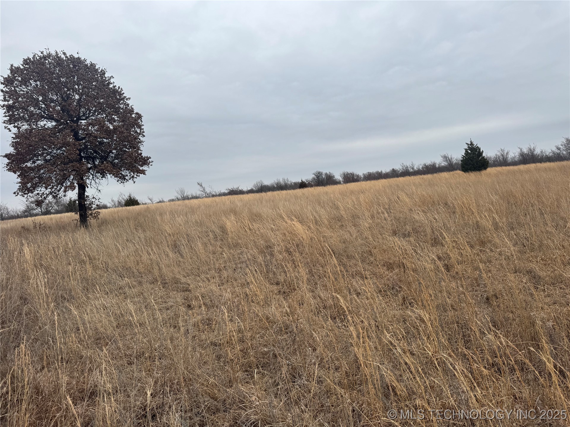 5300 Us Hwy 75 Property Photo 23