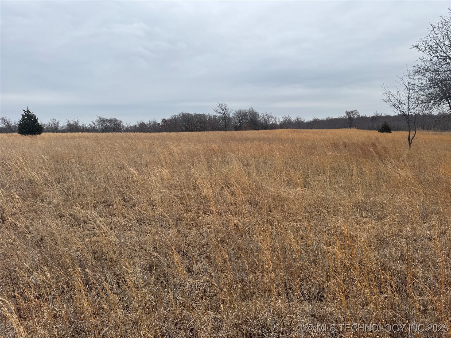 5300 Us Hwy 75 Property Photo 24