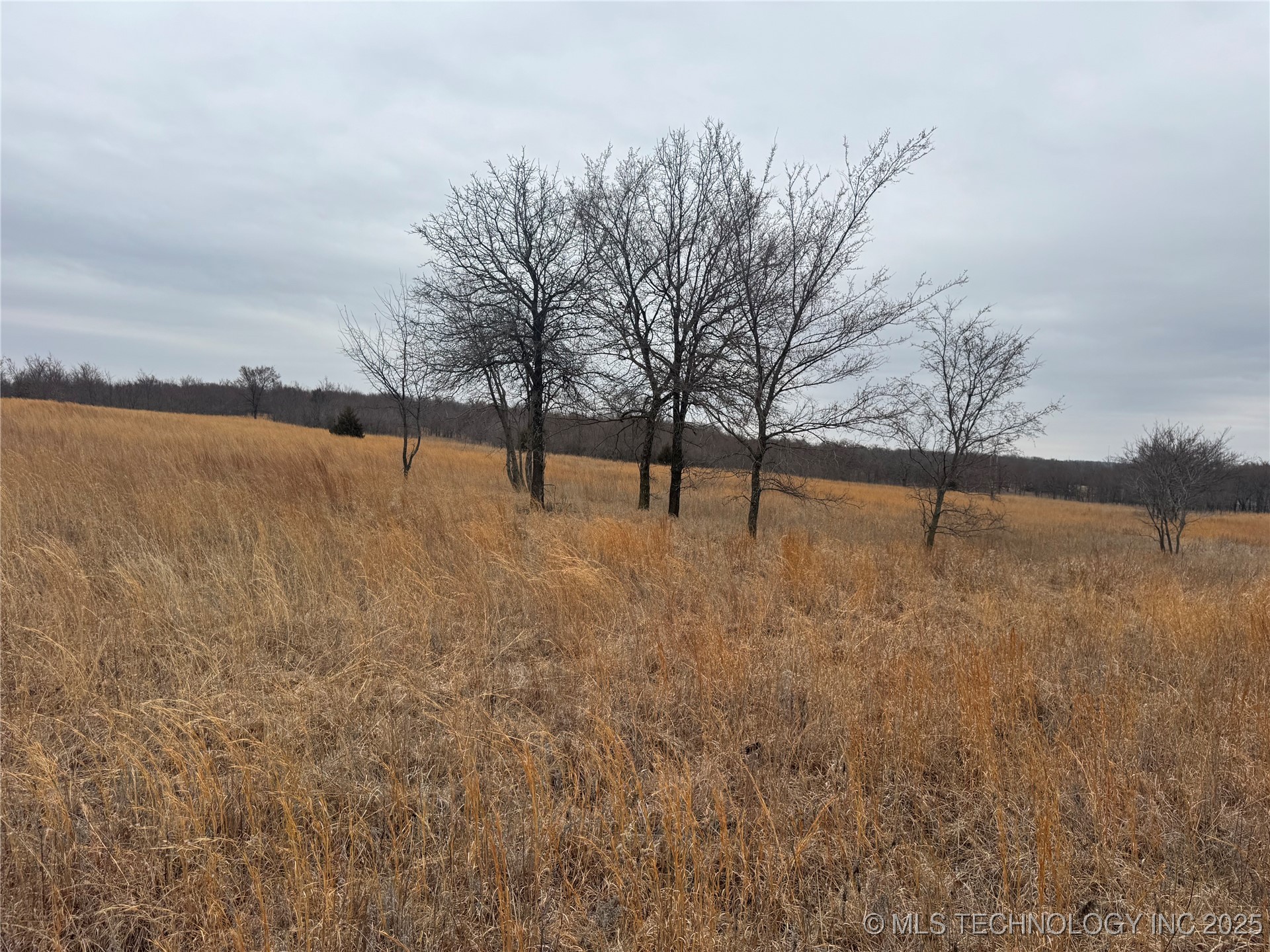 5300 Us Hwy 75 Property Photo 25