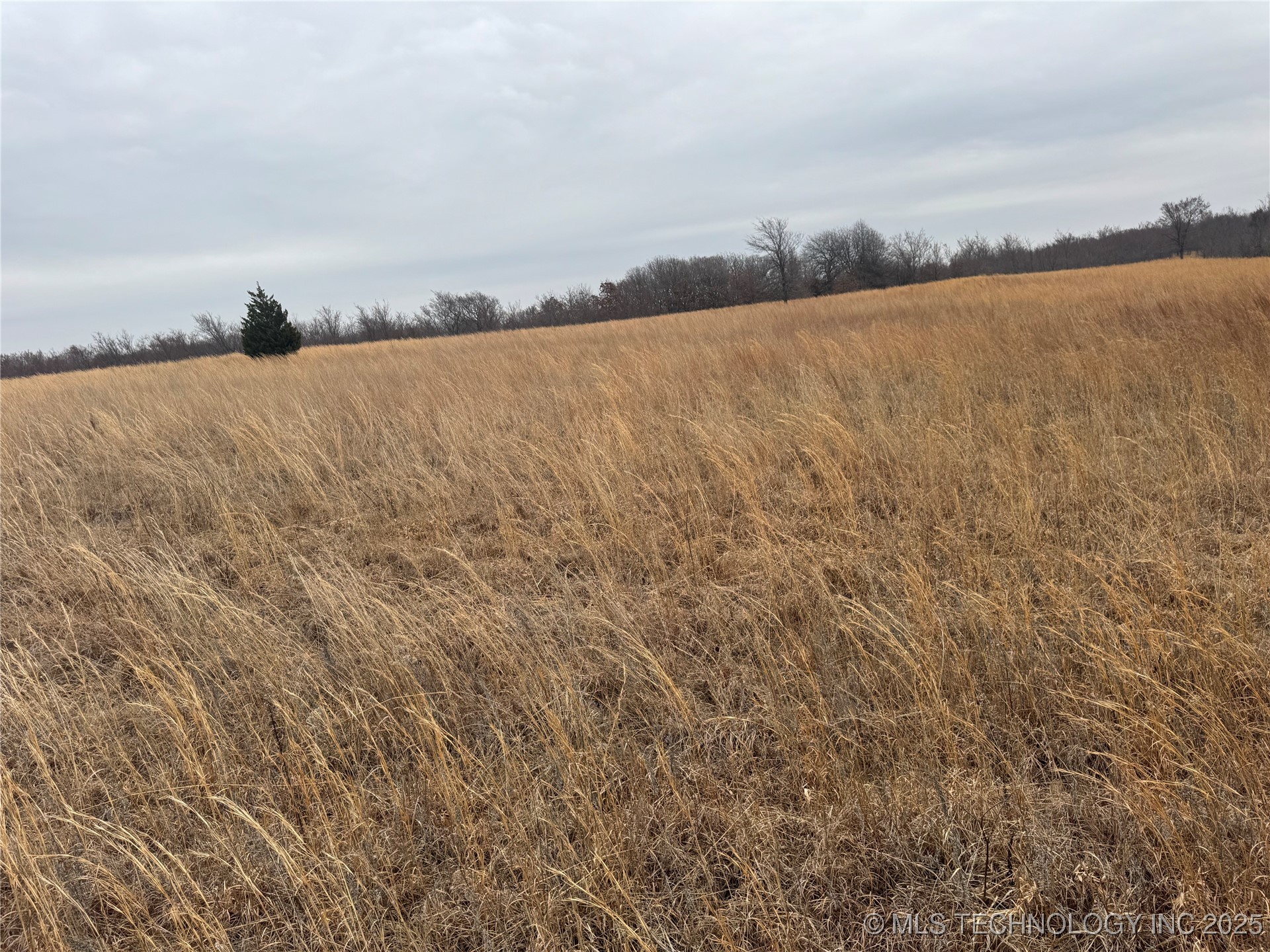 5300 Us Hwy 75 Property Photo 26