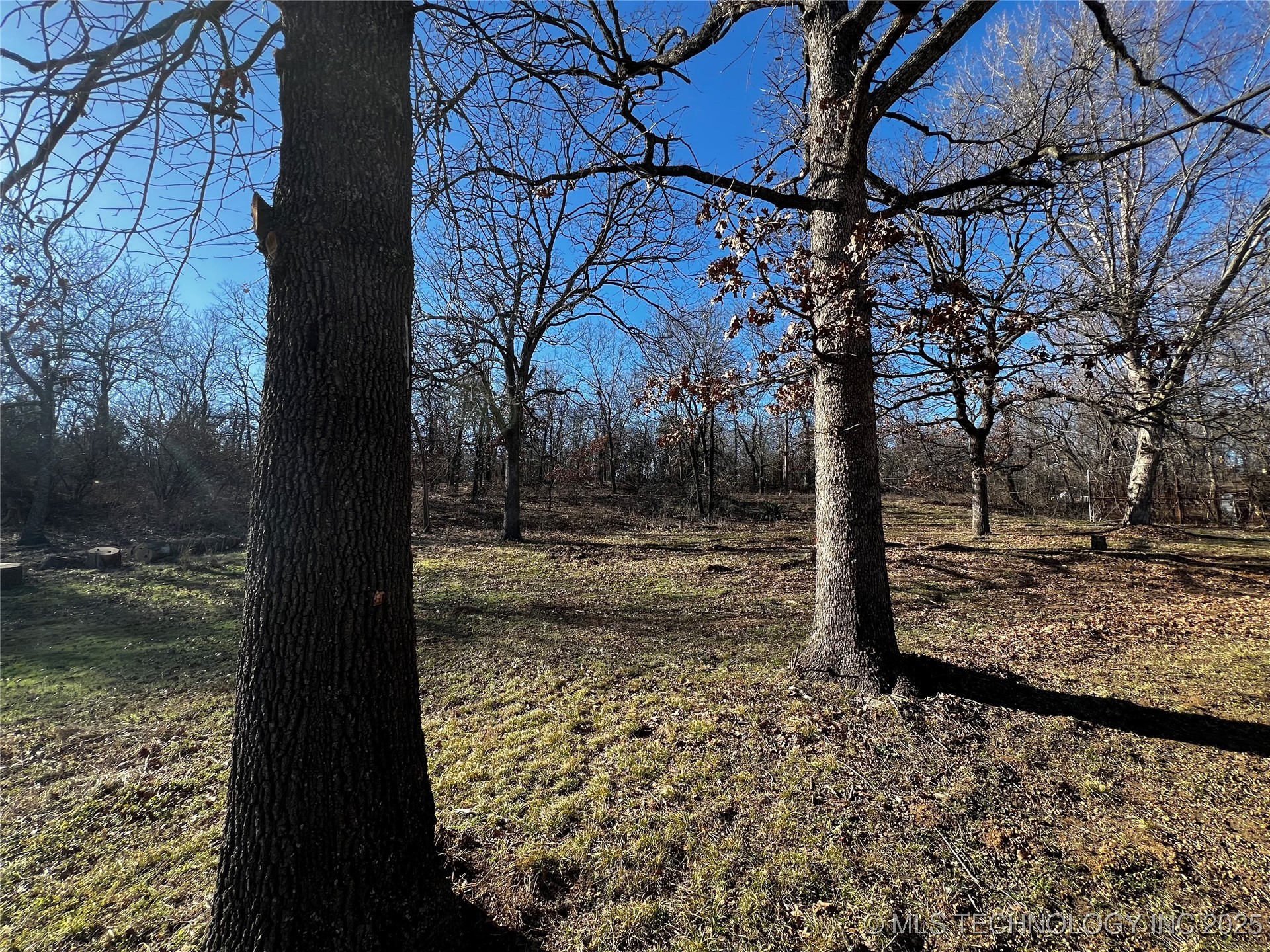 16306 N Javine Hill Road Property Photo 36