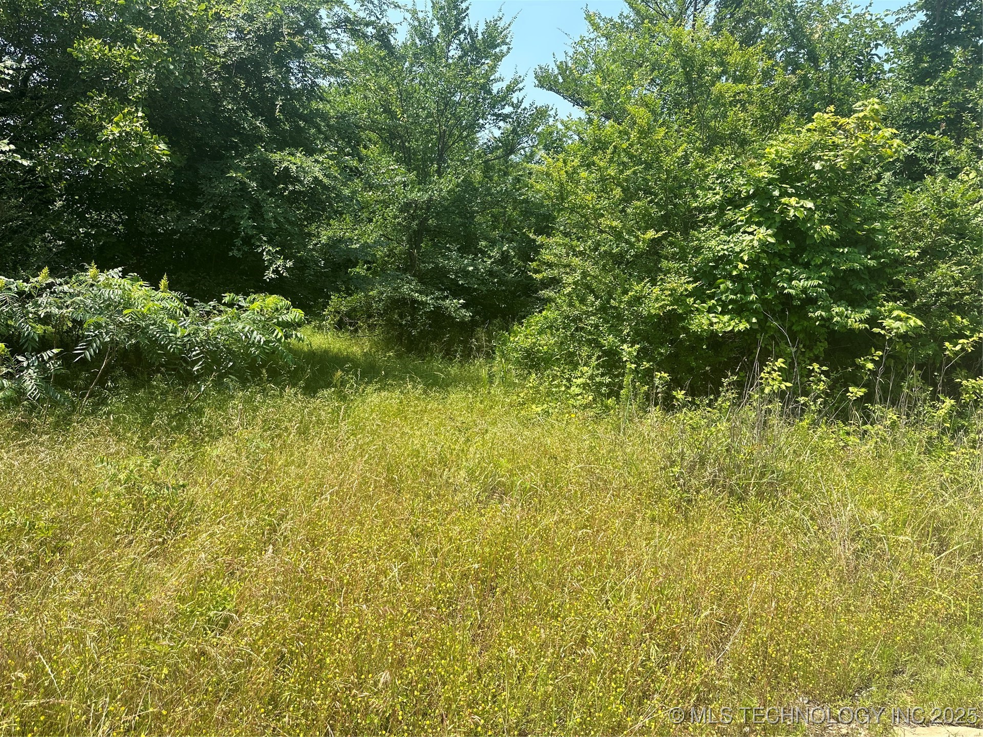 Quapaw Property Photo 8