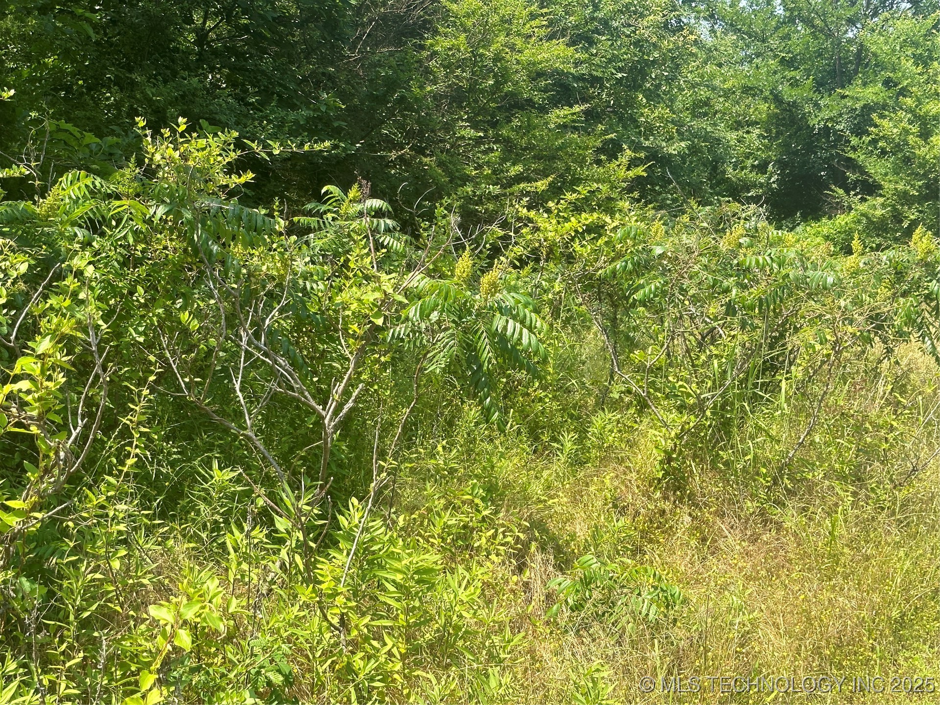 Quapaw Property Photo 23