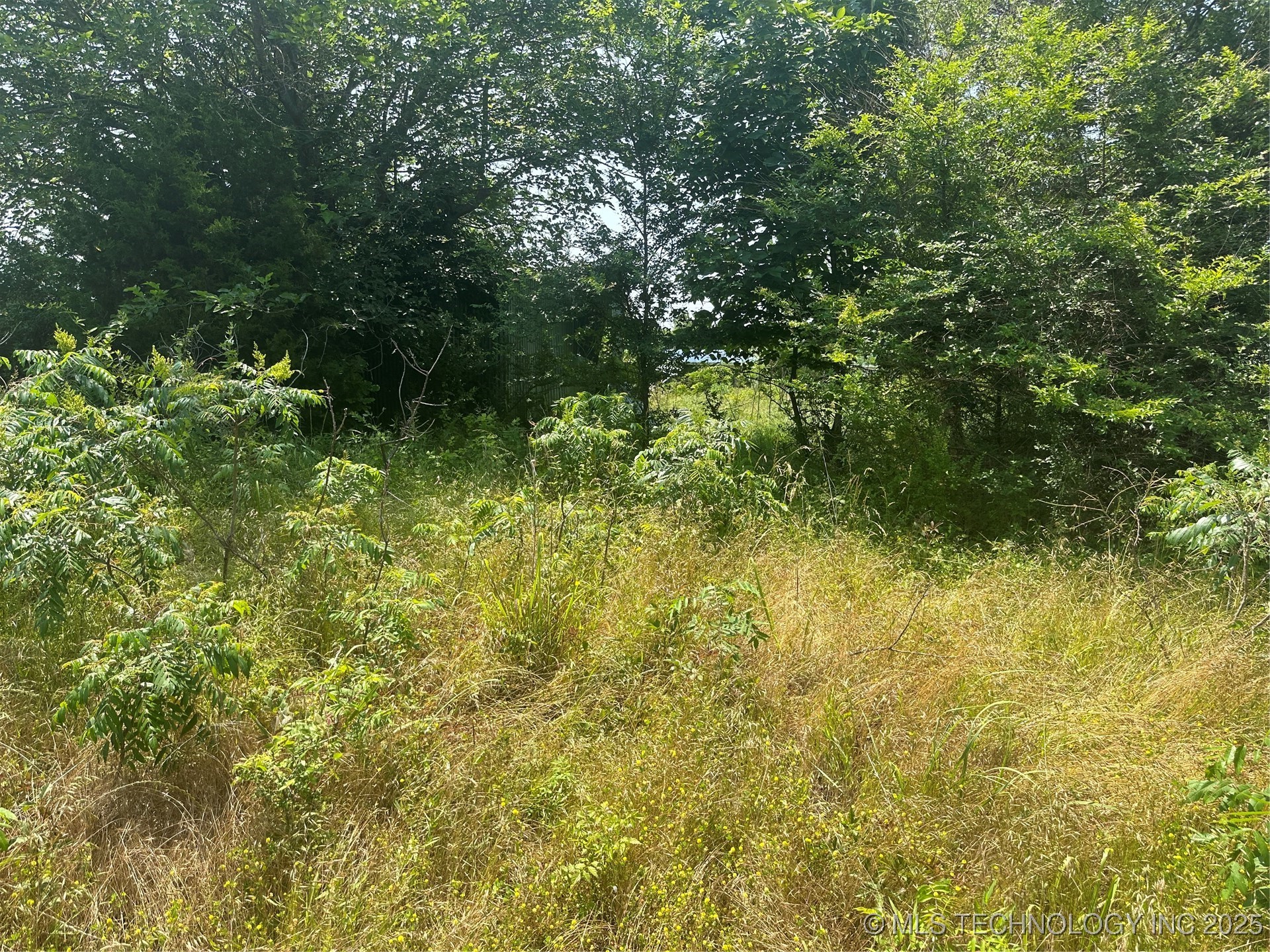 Quapaw Property Photo 25