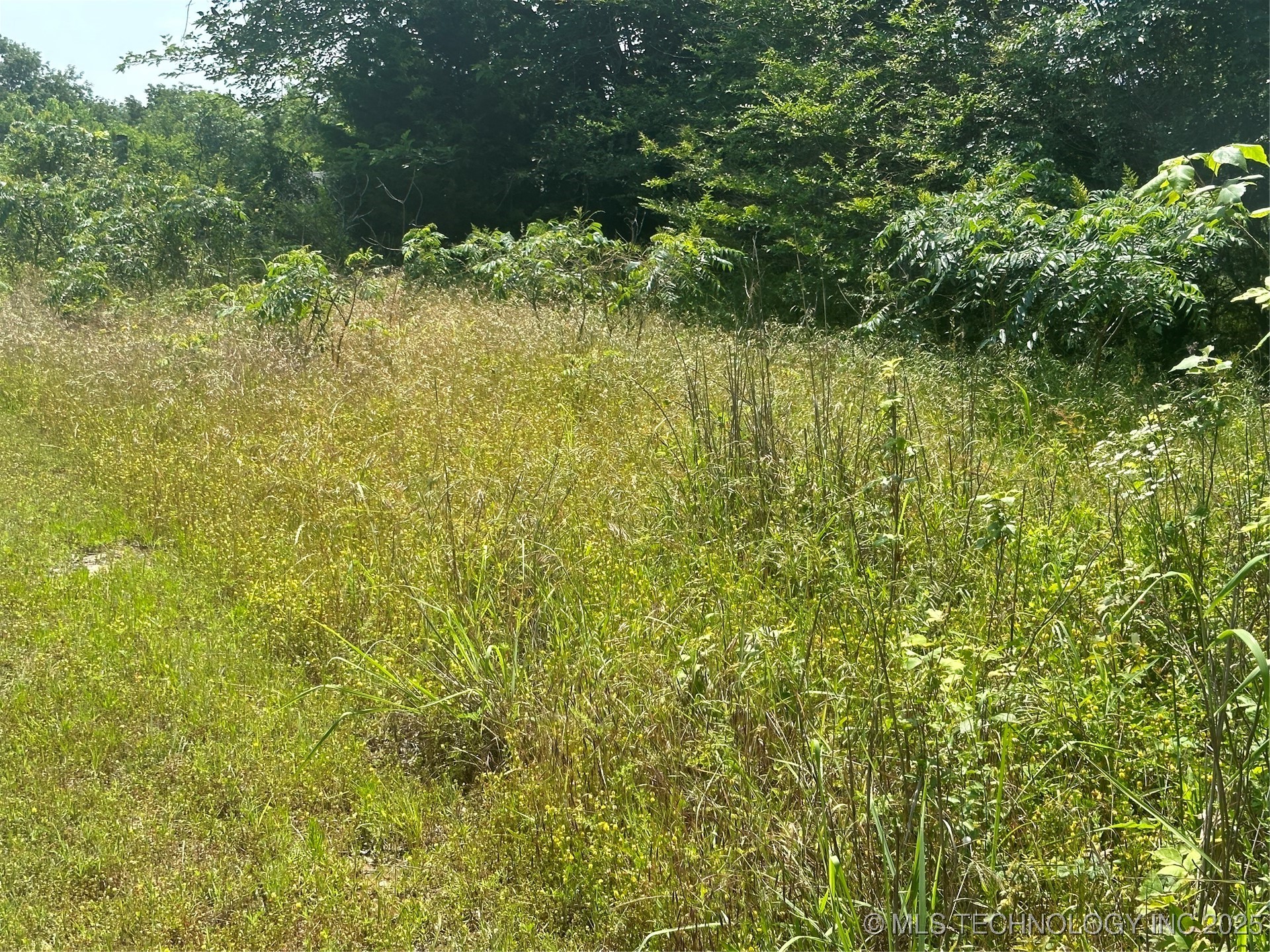 Quapaw Property Photo 26