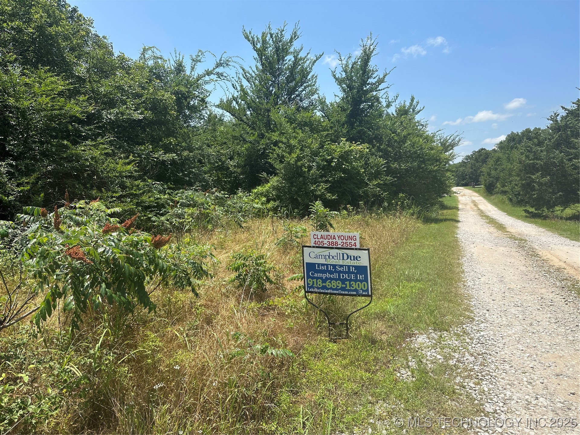 Quapaw Property Photo 28