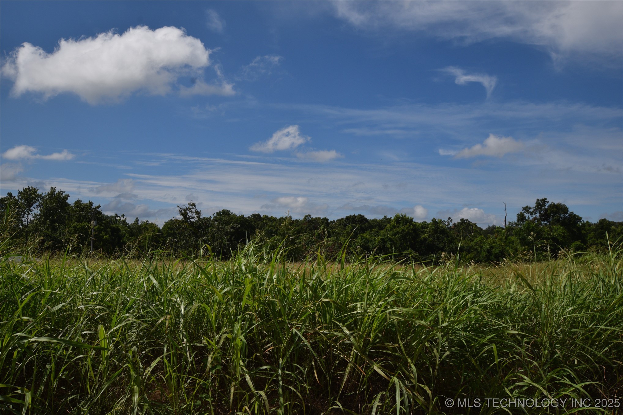 1728 N 5th Street Property Photo 1