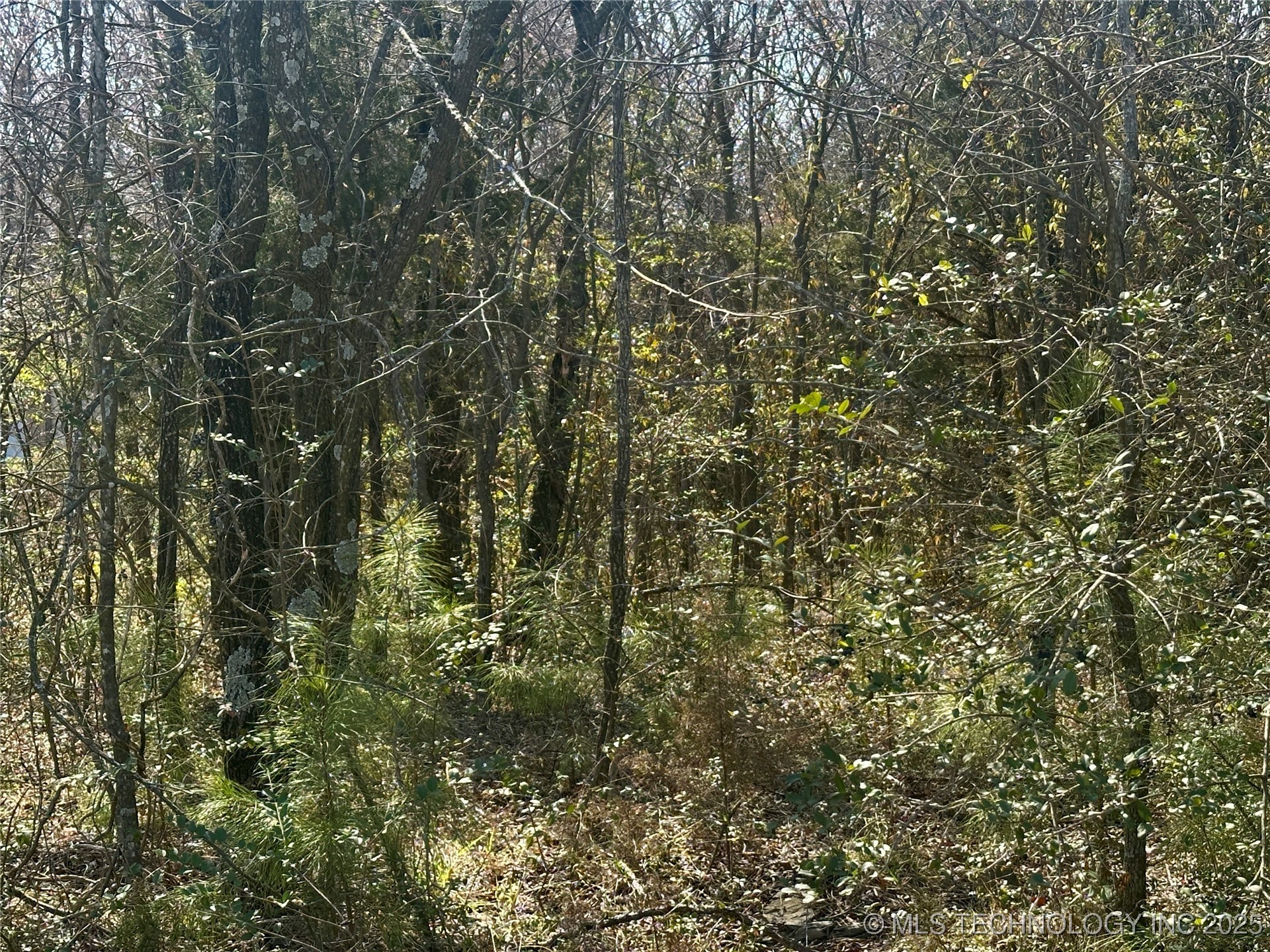 Sailboat Lane Property Photo