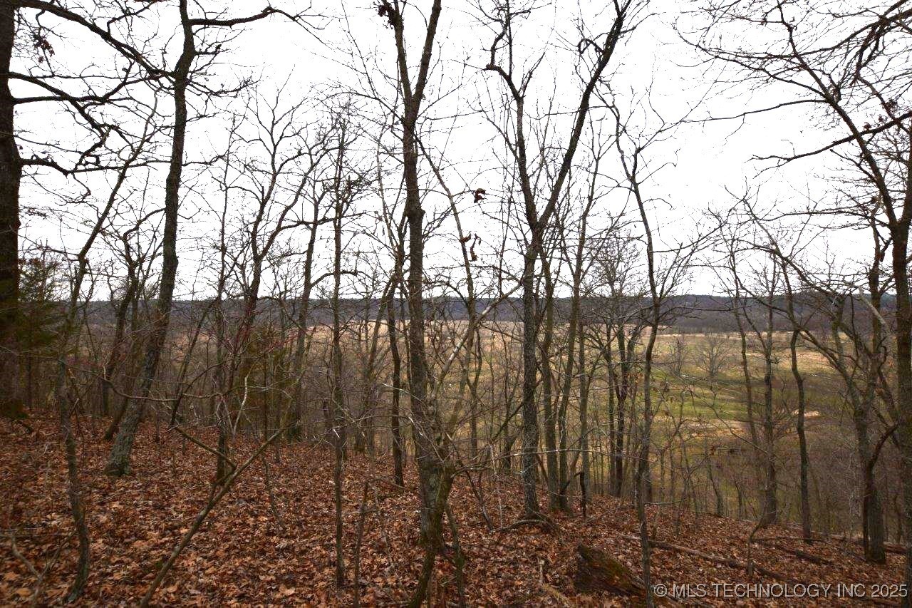59972 S 4651 Road Property Photo 26
