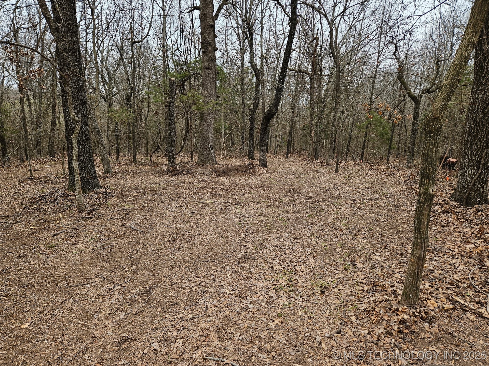 44 Ridge Circle Property Photo 4