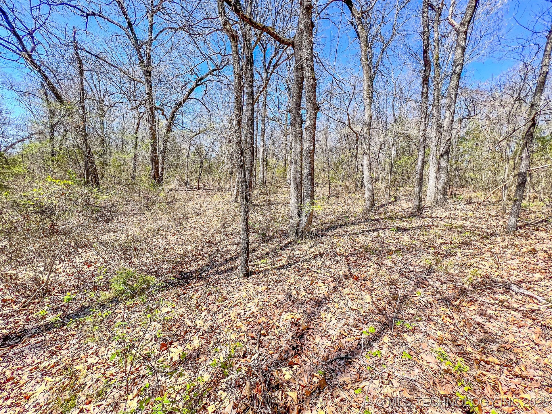 44 Ridge Circle Property Photo 16