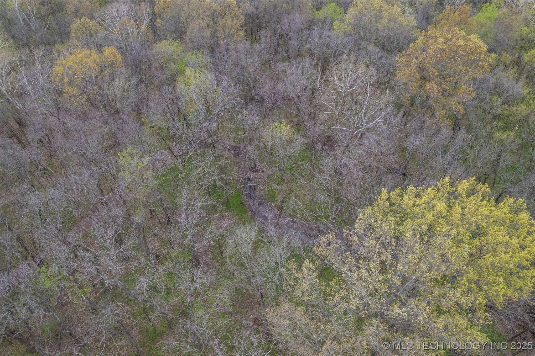 555 Old Hwy 69 Property Photo 15