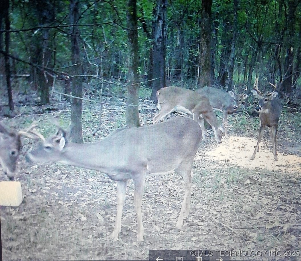 555 Old Hwy 69 Property Photo 16