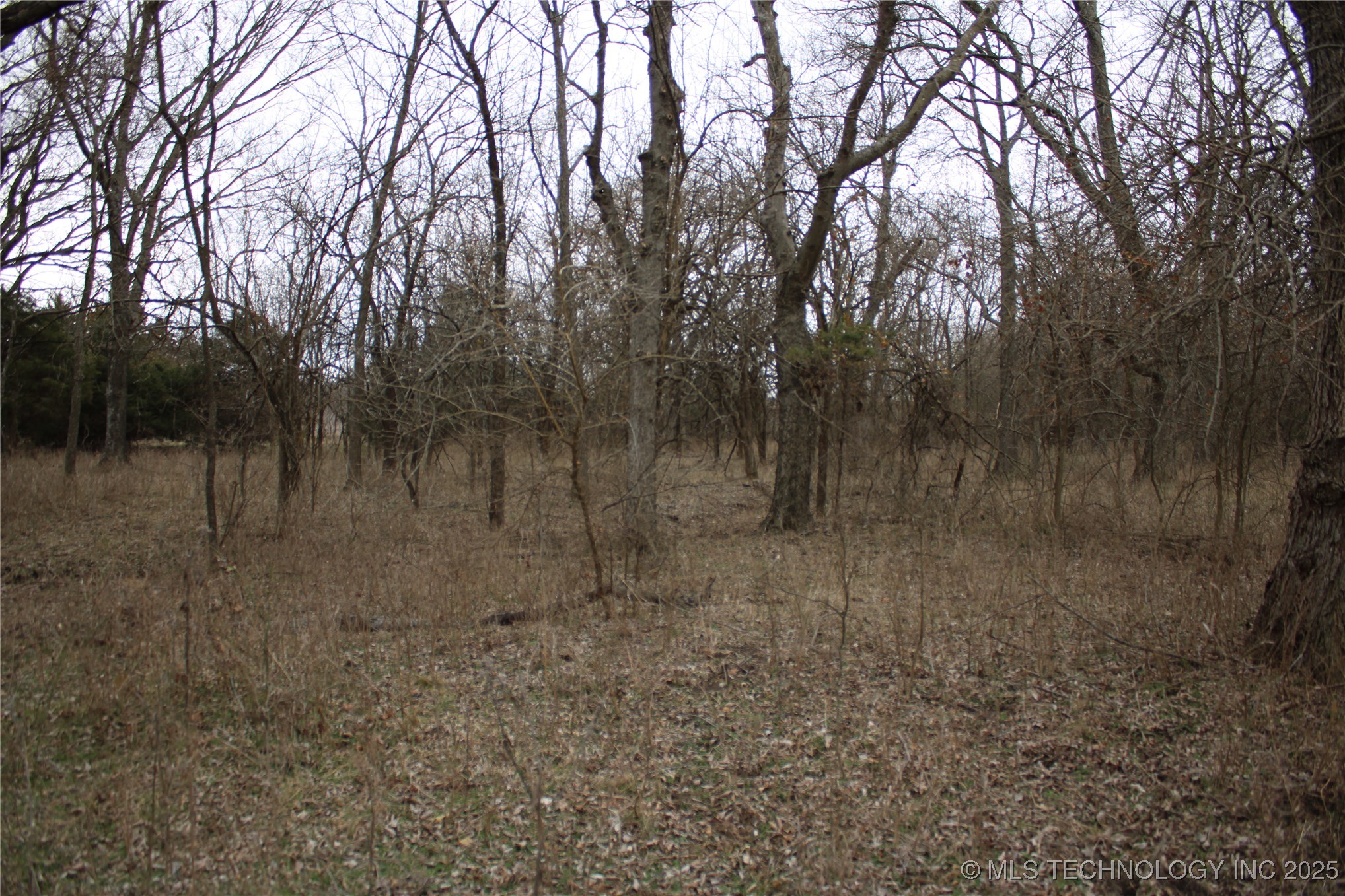 0000 Ew 255 Road Property Photo 19
