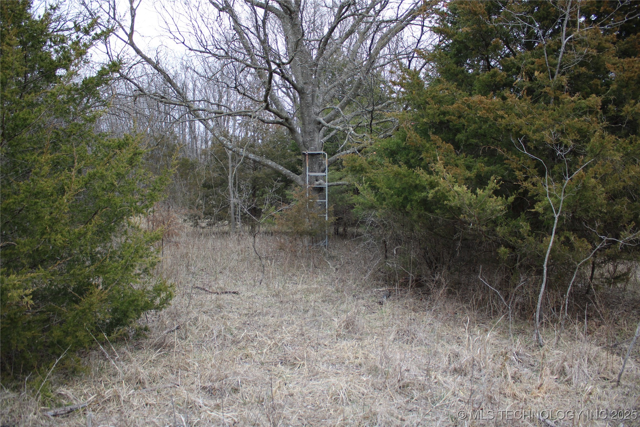 0000 Ew 255 Road Property Photo 21