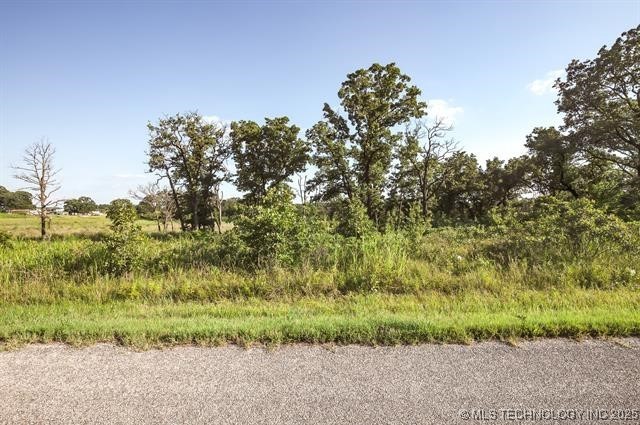 Birch Lake Estates Real Estate Listings Main Image