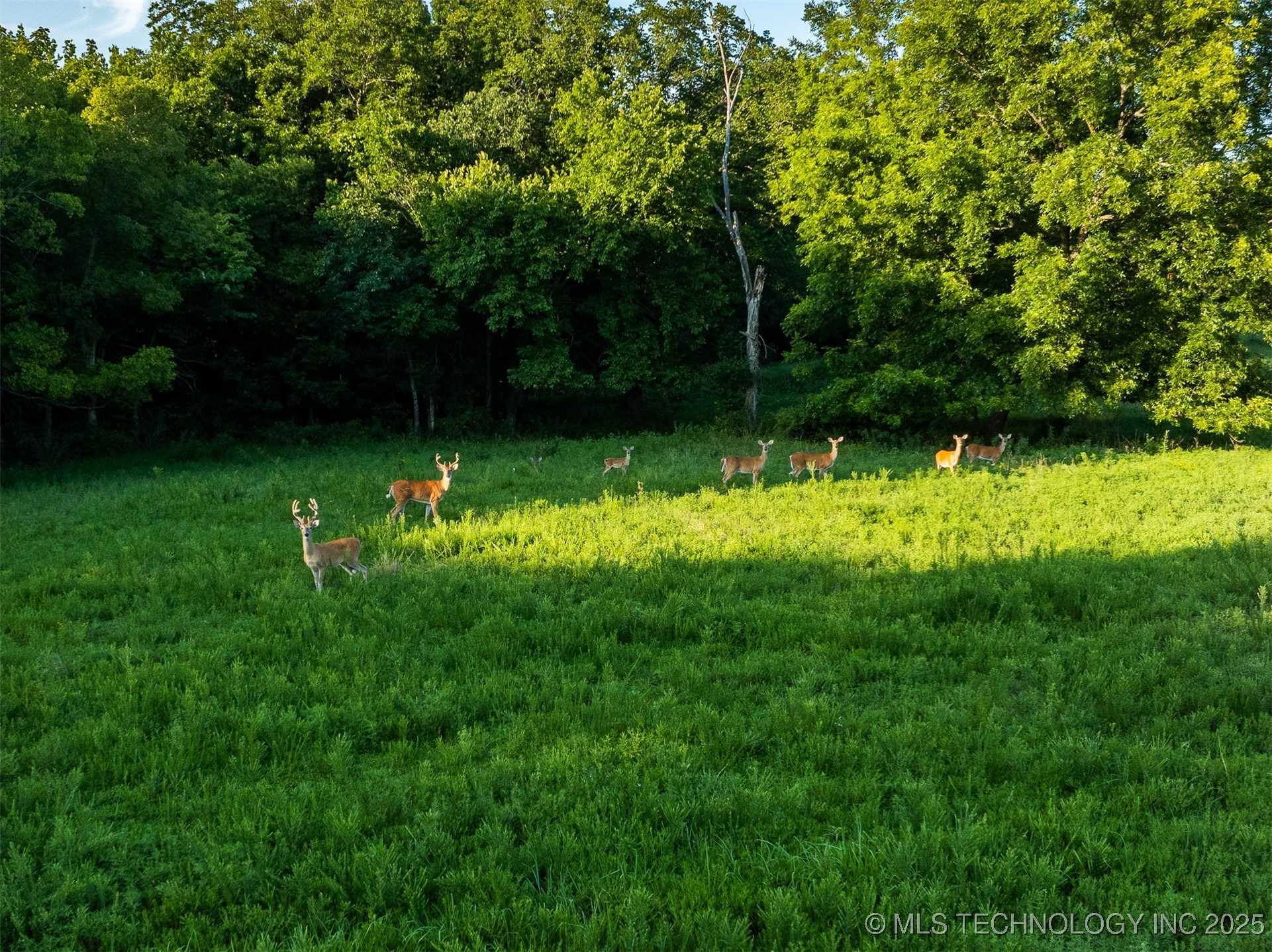 5 E 430 Road Property Photo 18