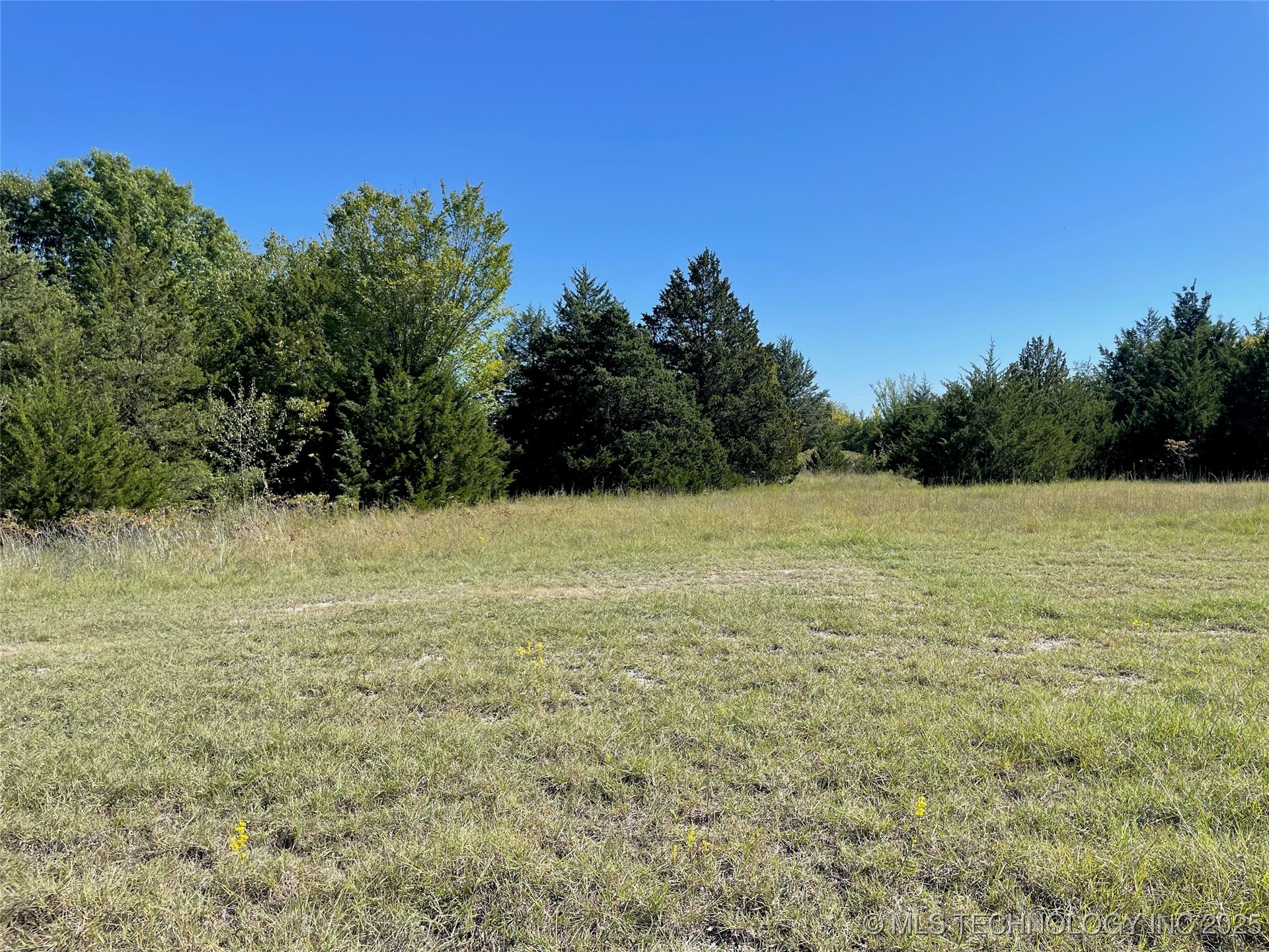 Chisholm Property Photo