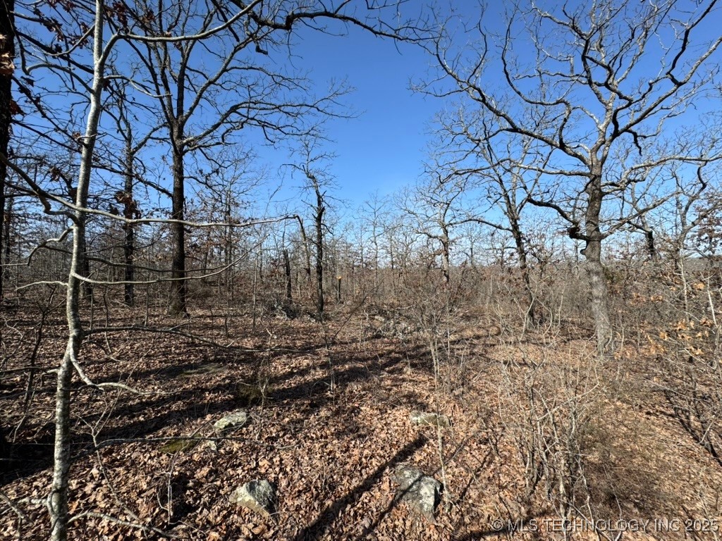 8541 Oak Ridge Road Property Photo
