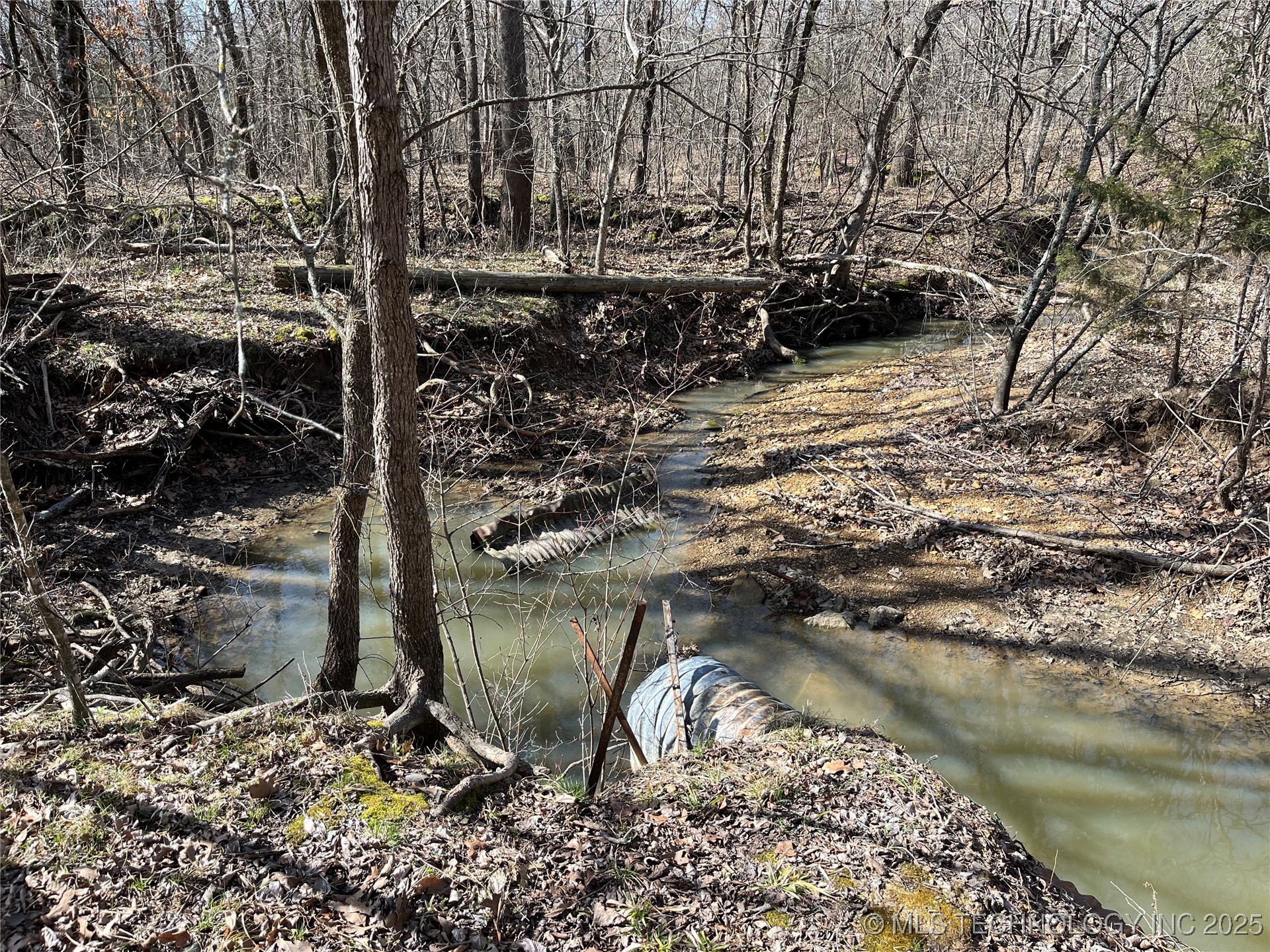 0 Ns County Road 3660 Property Photo