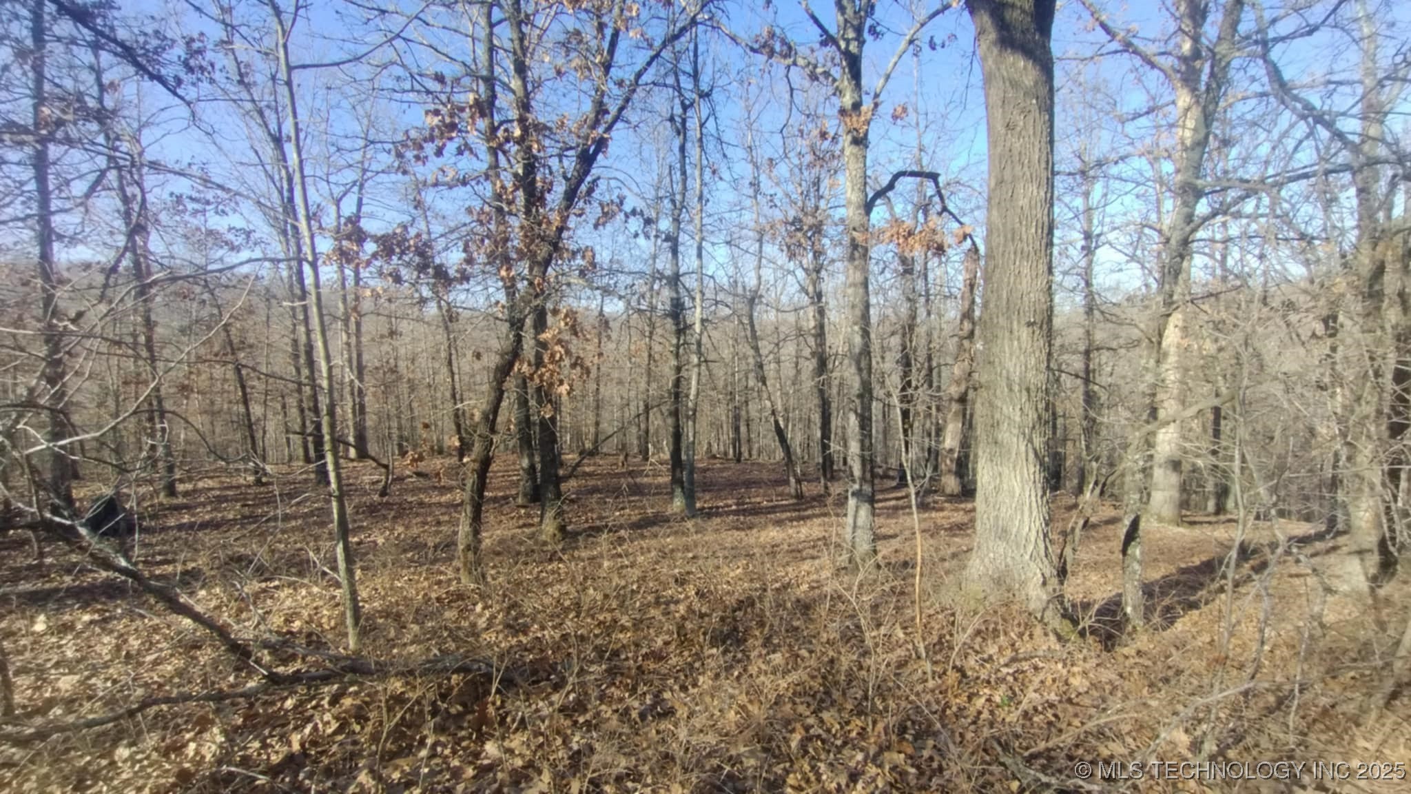 464200 Acorn Ridge Property Photo 1
