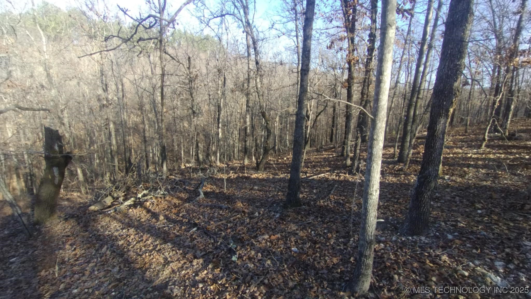 464200 Acorn Ridge Property Photo 2