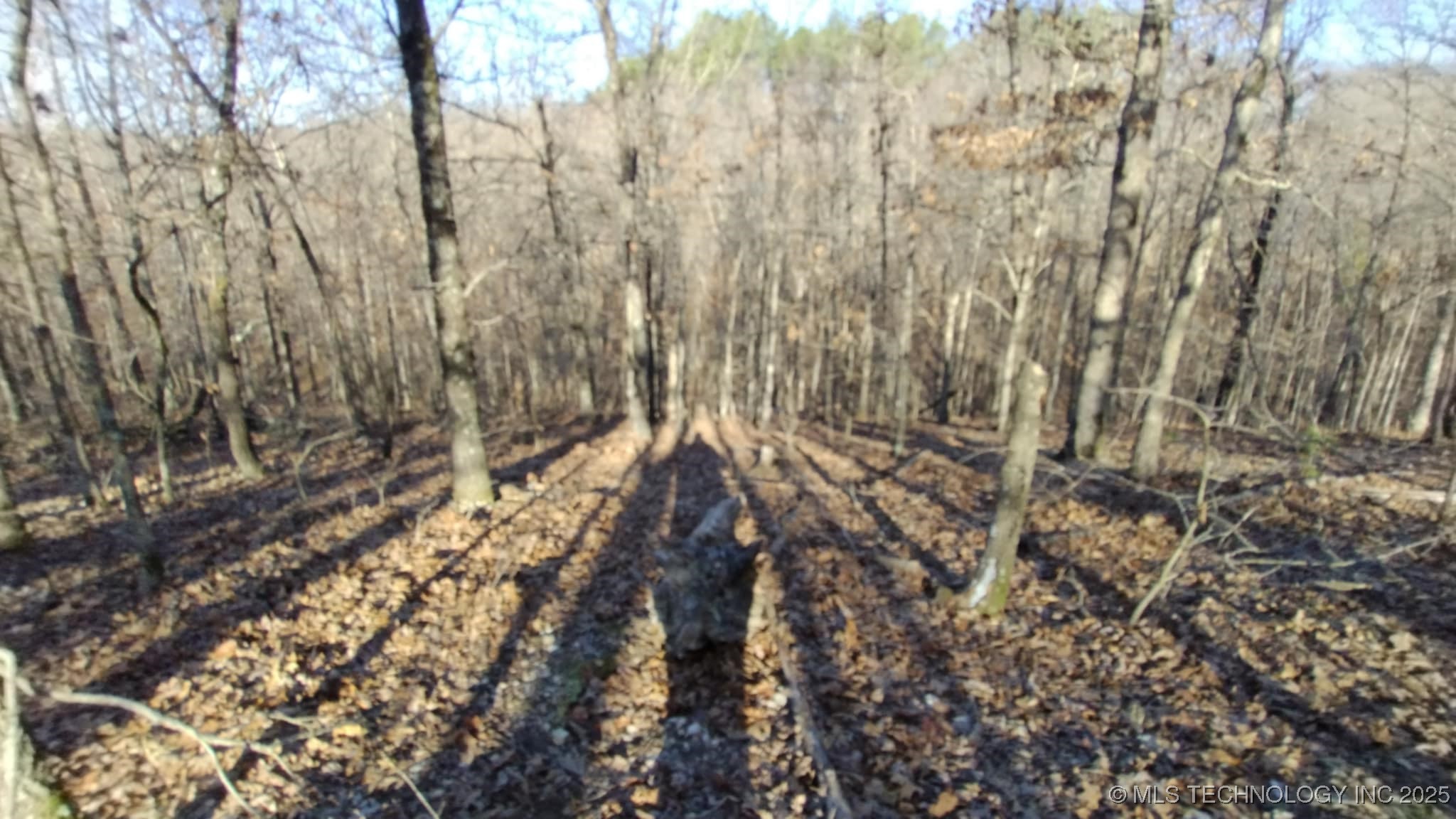 464200 Acorn Ridge Property Photo 3