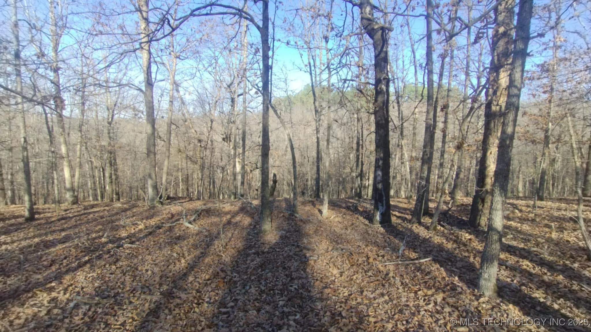 464200 Acorn Ridge Property Photo 5
