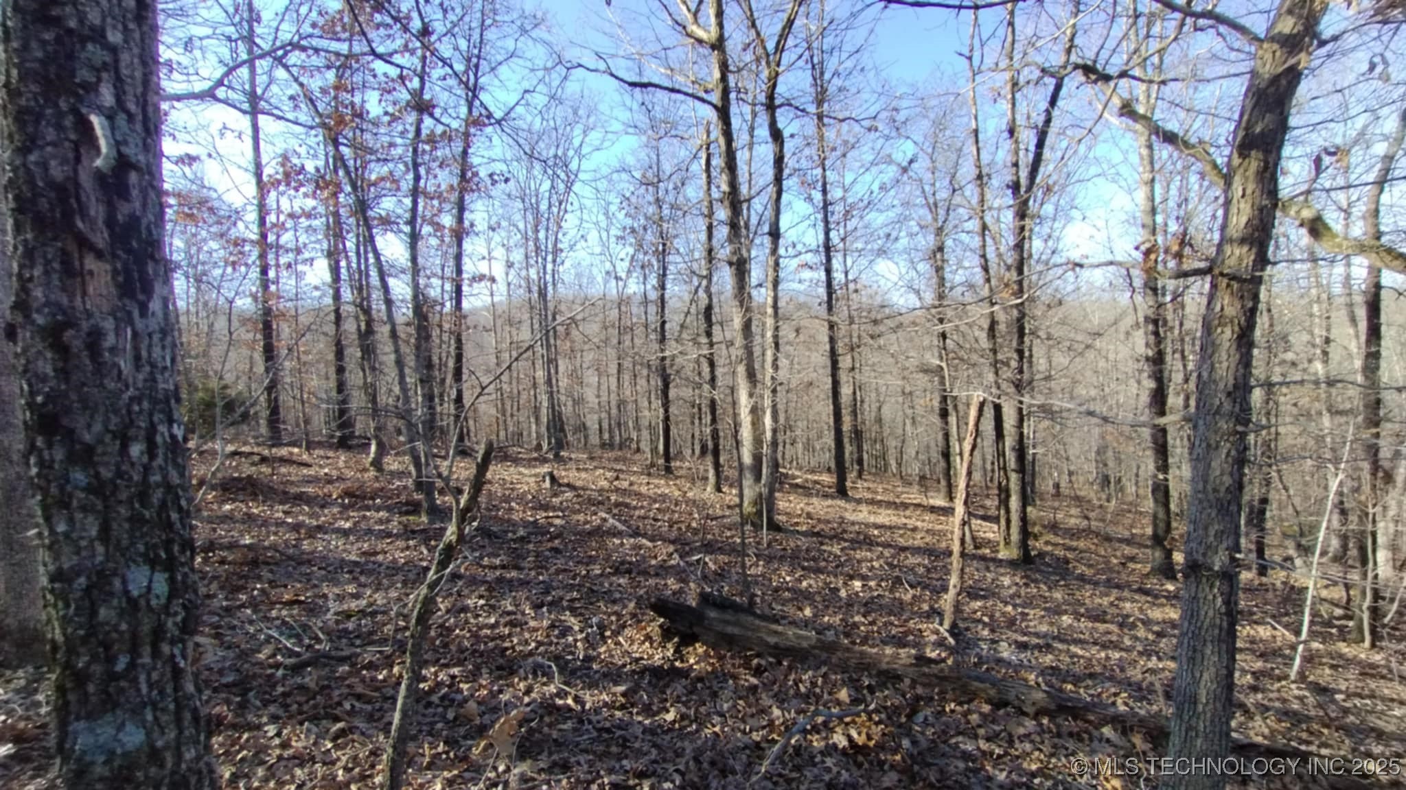 464200 Acorn Ridge Property Photo 6