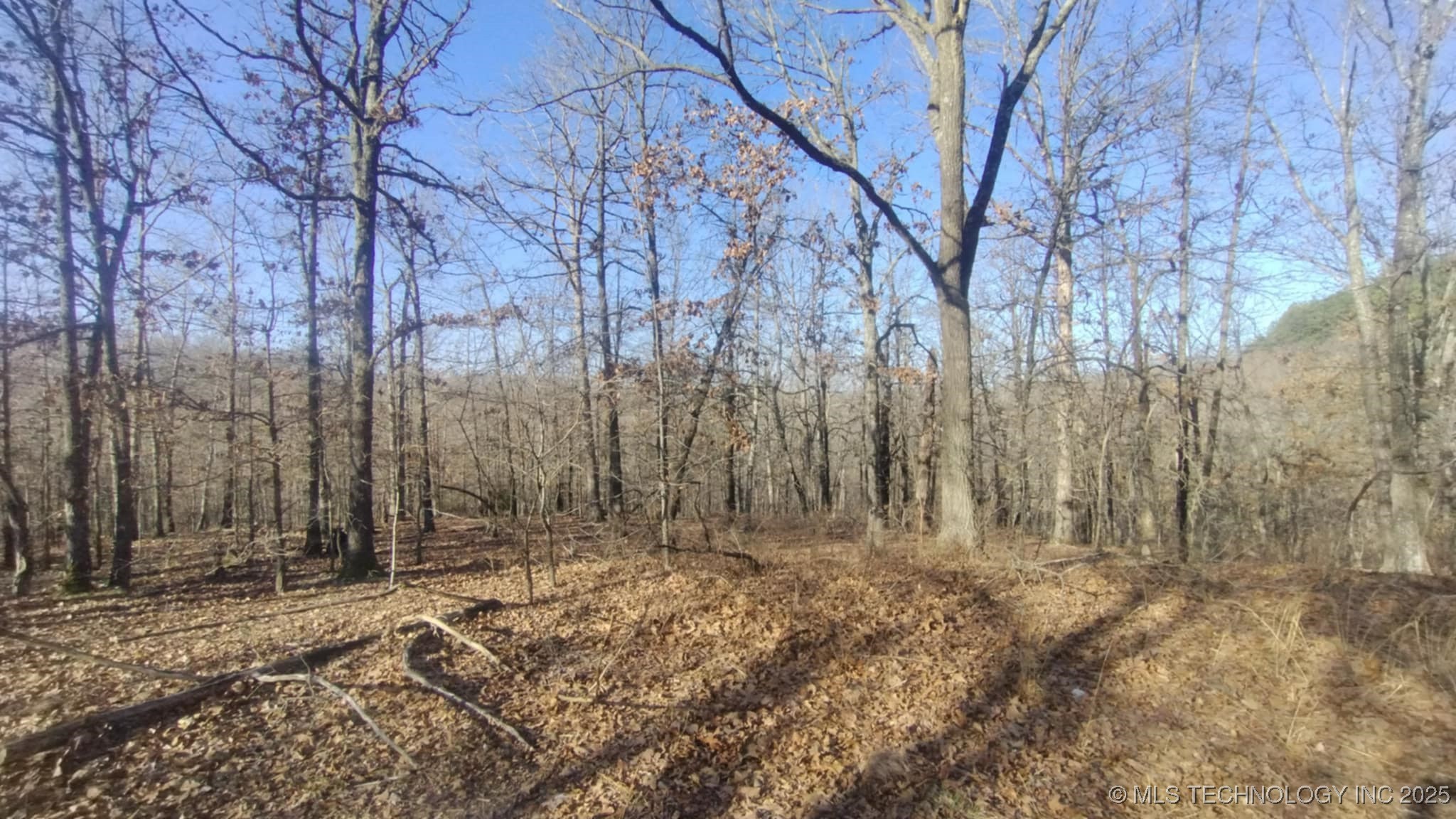 464200 Acorn Ridge Property Photo 7