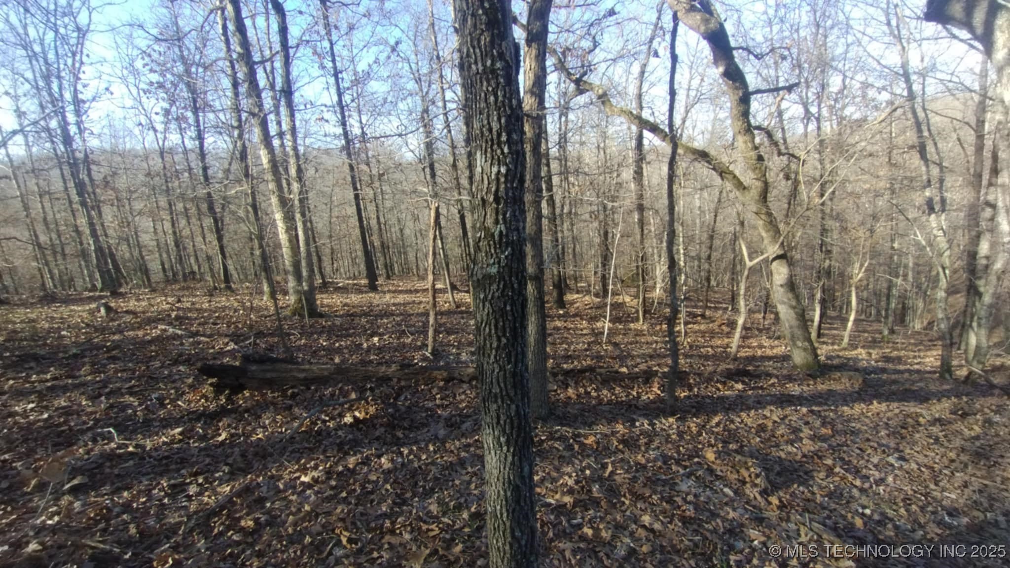 464200 Acorn Ridge Property Photo 8