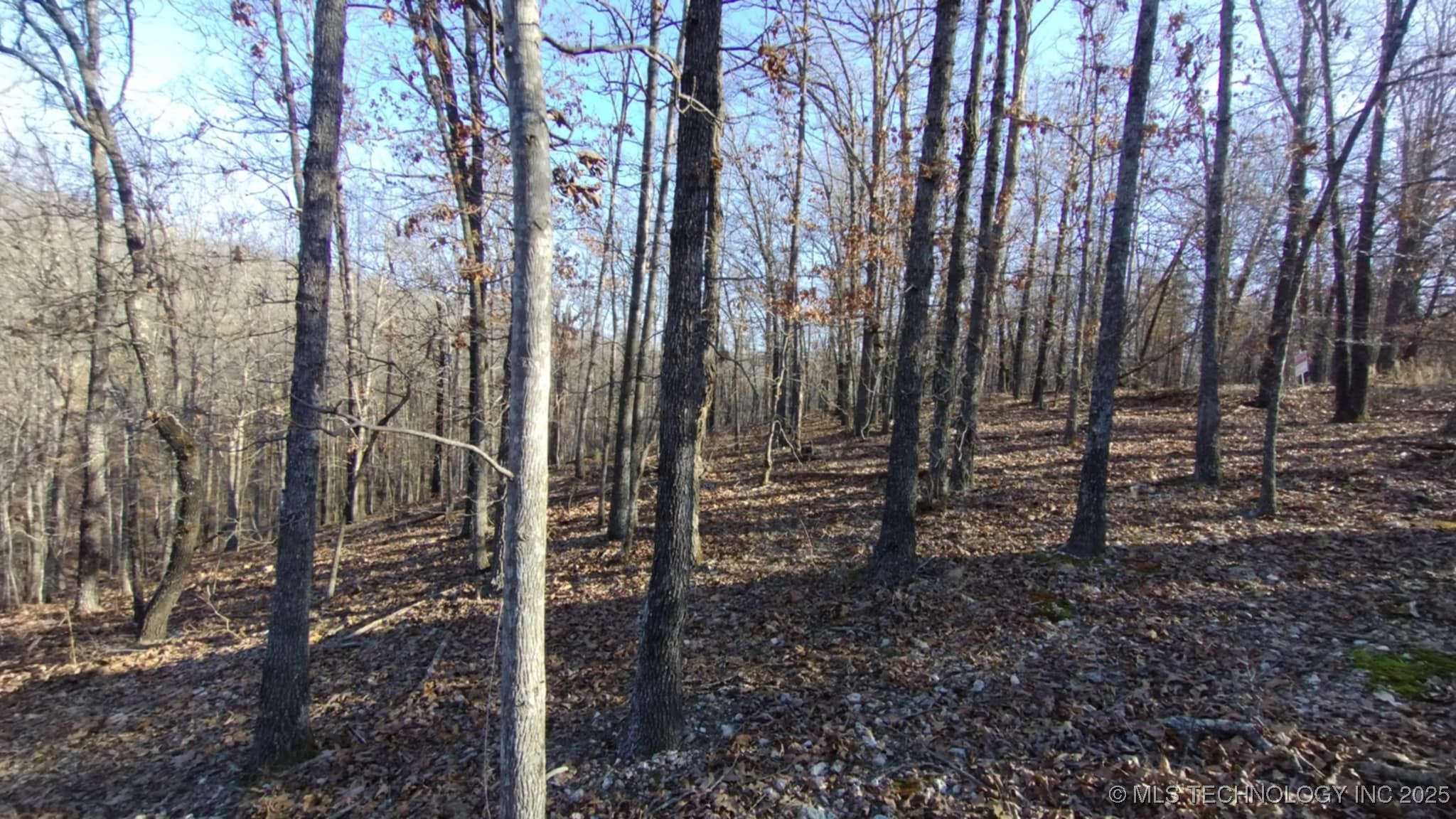464200 Acorn Ridge Property Photo 9