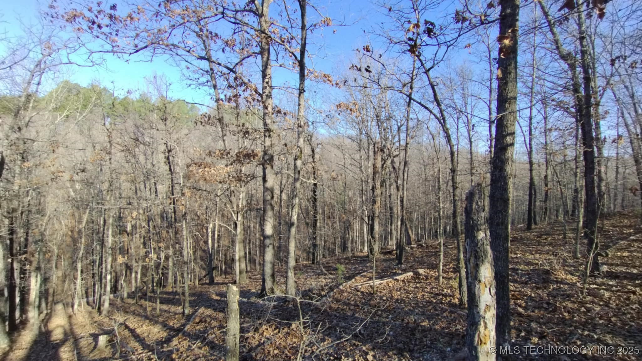 464201 Acorn Ridge Property Photo
