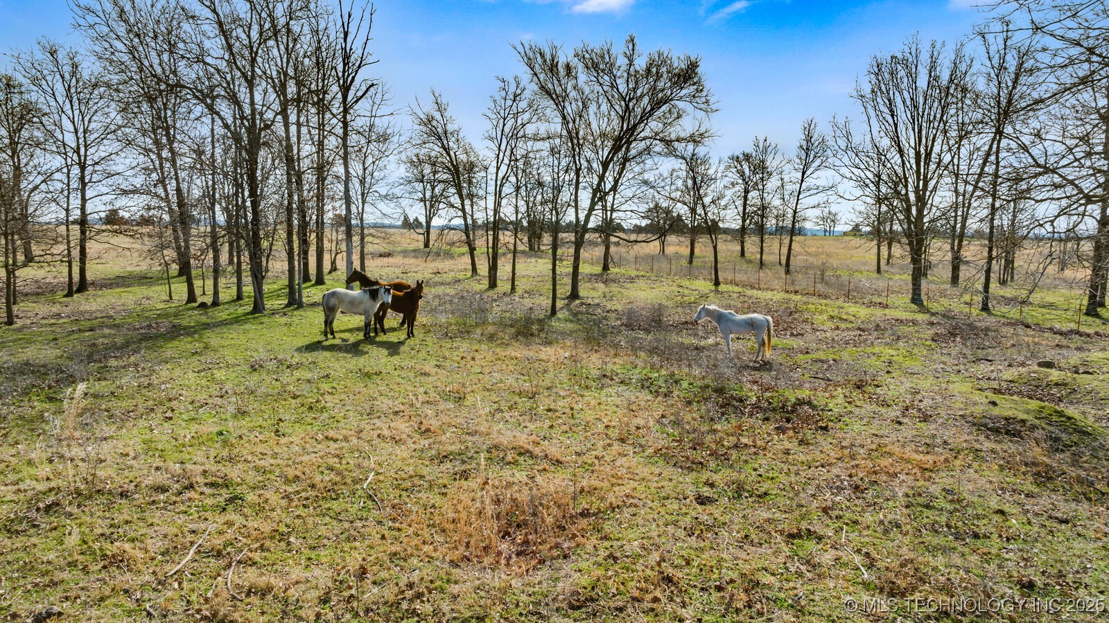 20511 S 610 Road Property Photo 13