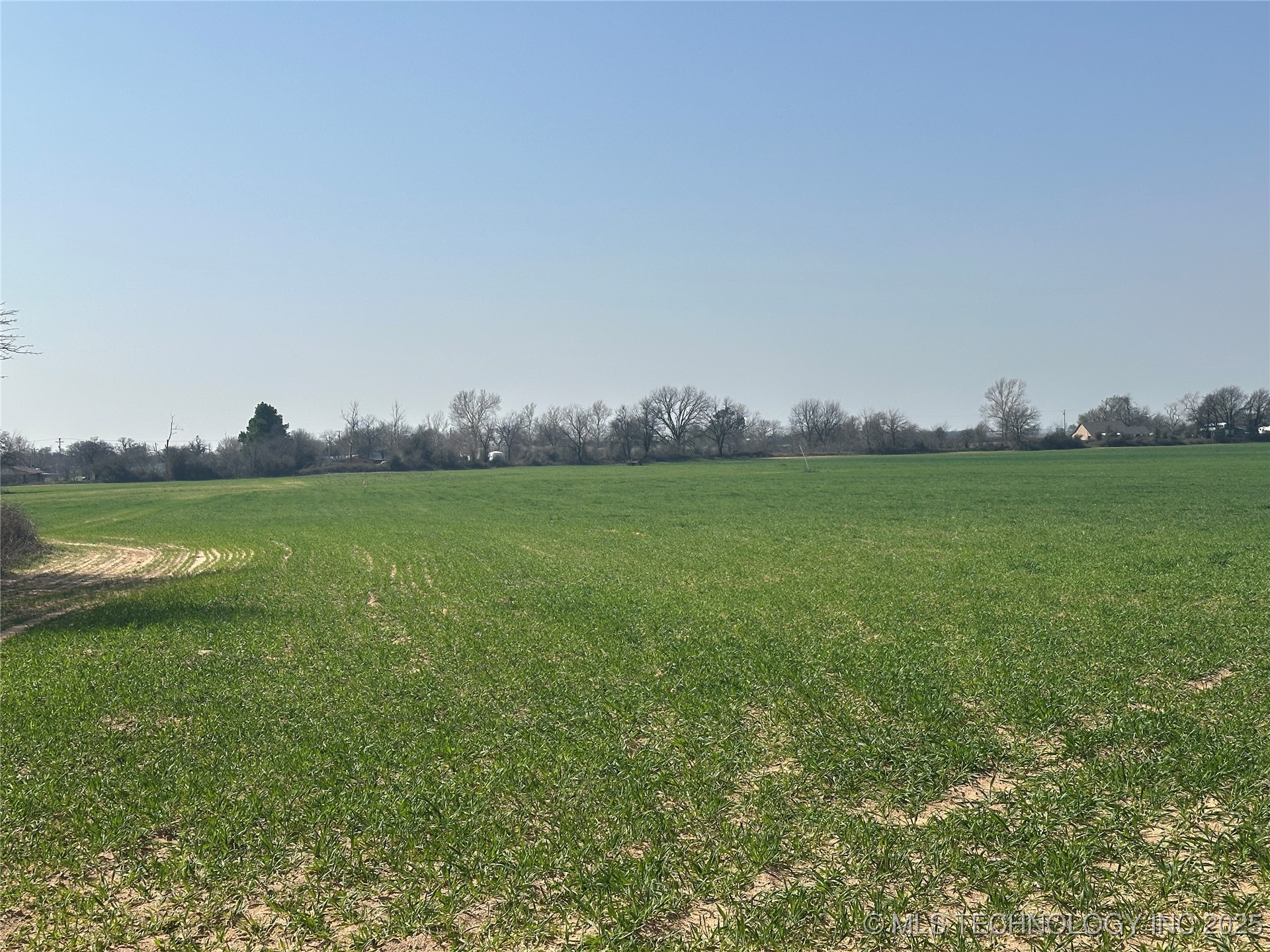 Bellview Street Property Photo